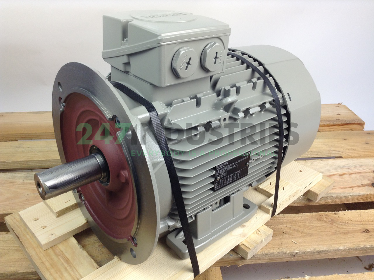 1LE1003-1CB03-4JA4 Siemens