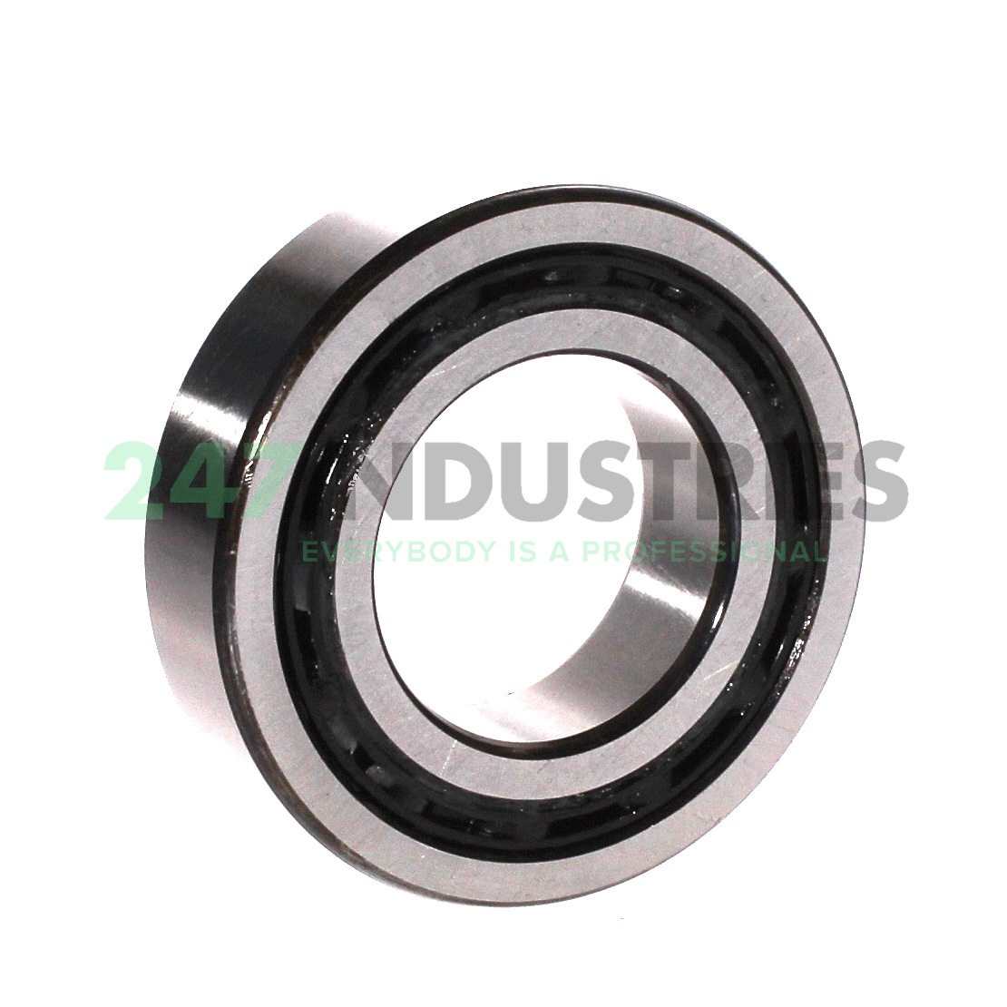 4209BTNGC3 NSK Image 2