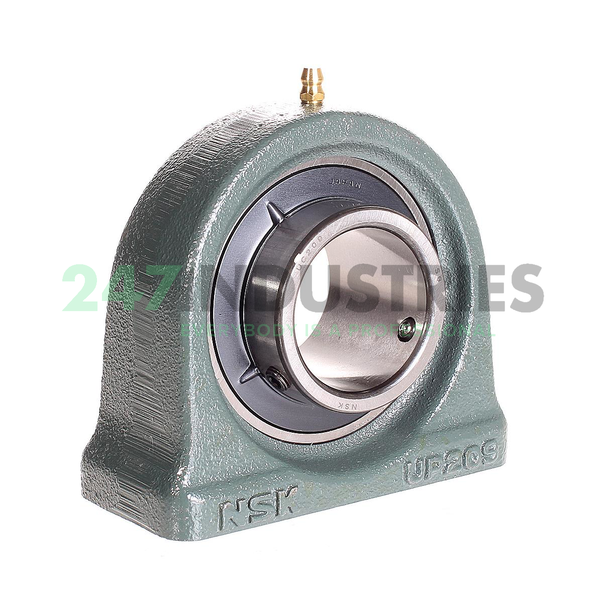 UCUP209D1 NSK