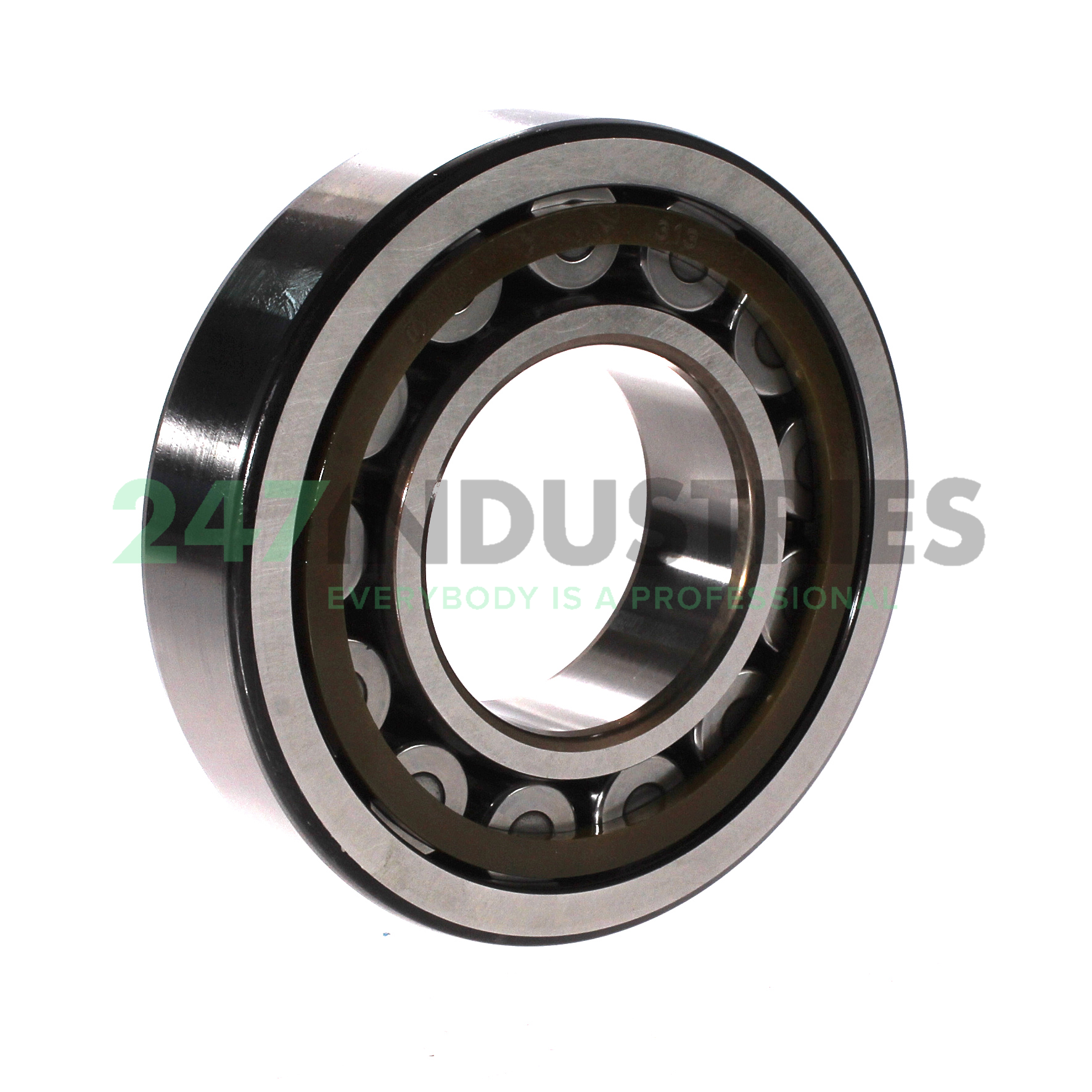 NJ313ECP/C4 SKF Image 2