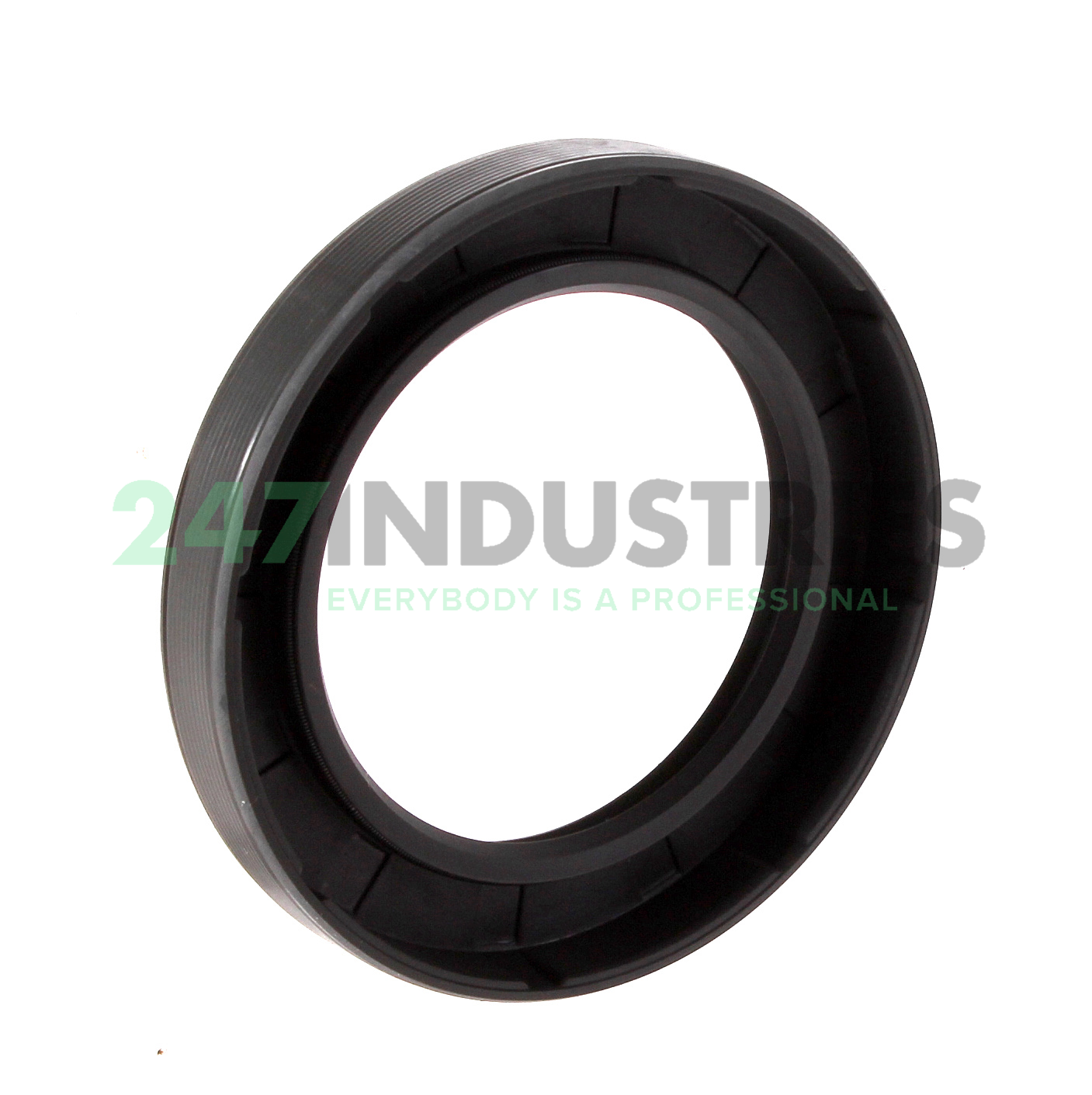 48X70X10HMSA10RG SKF Image 2