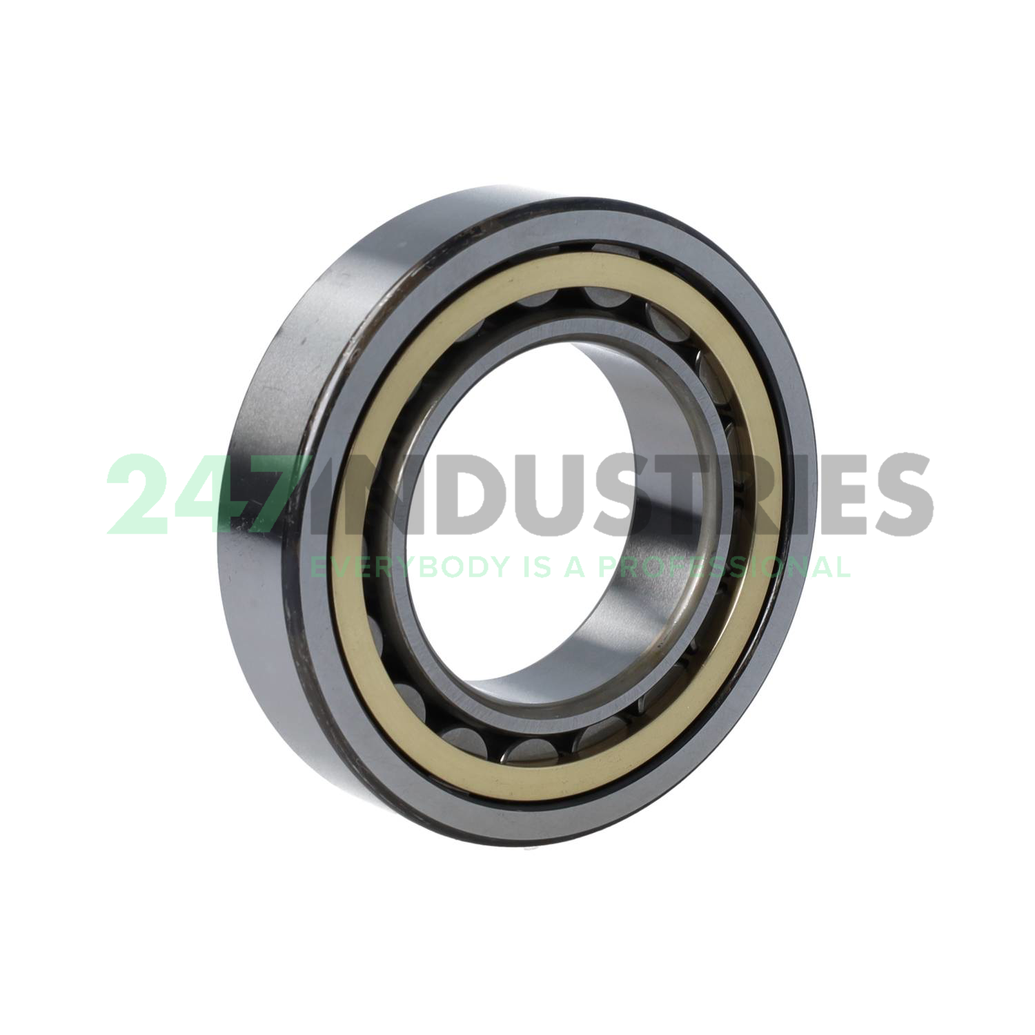 NU210EMC3 NSK Image 2