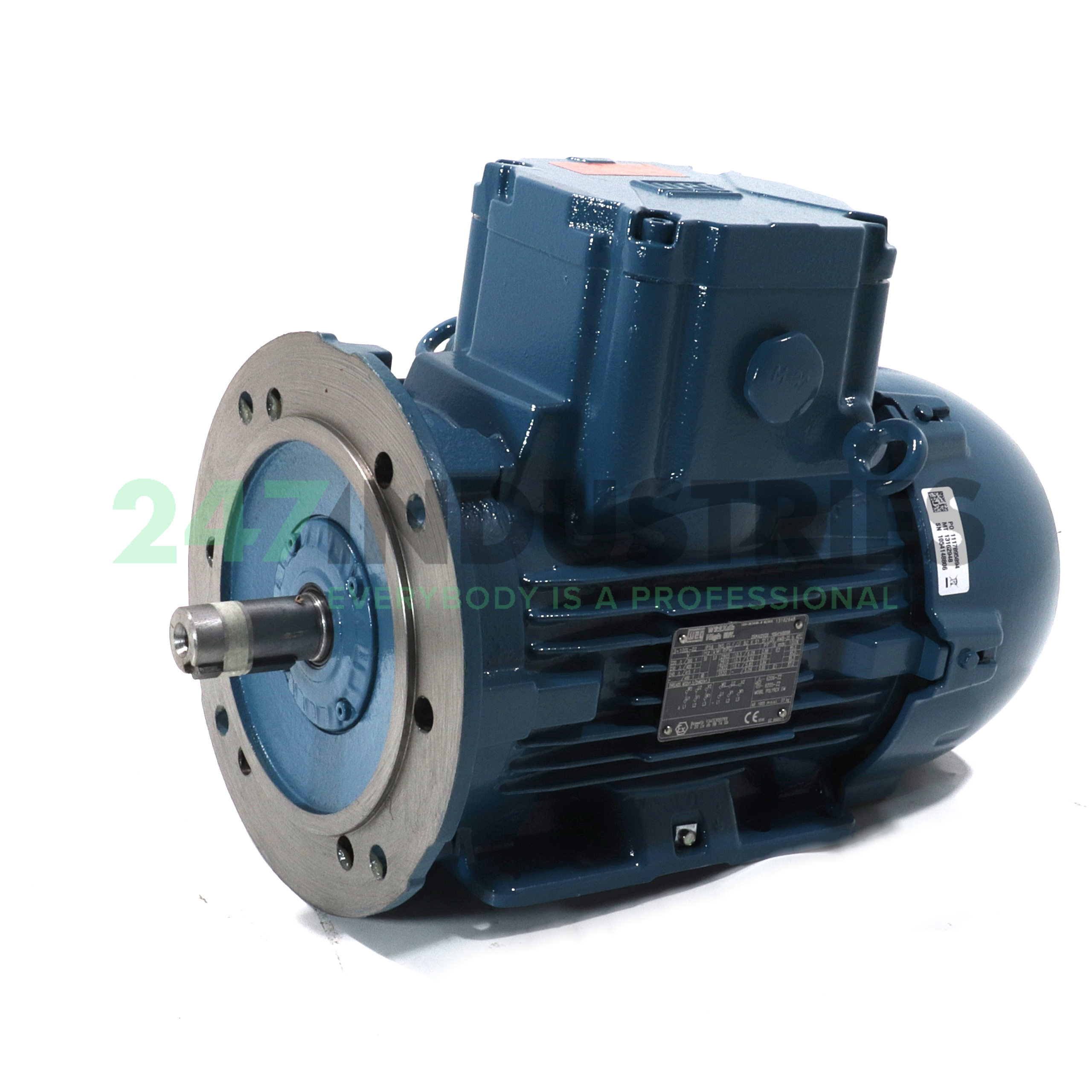 3K31CI2100L2B352G WEG Image 1