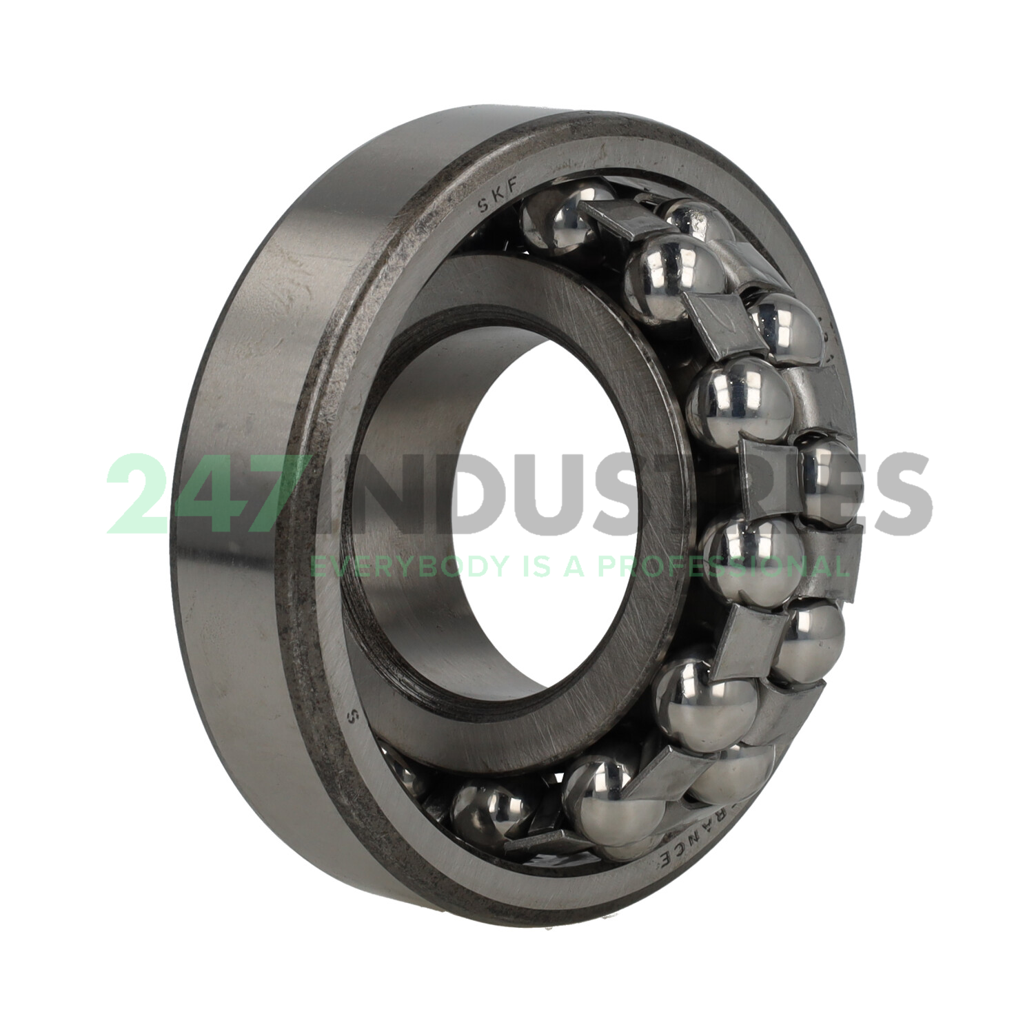 1310 SKF Image 2