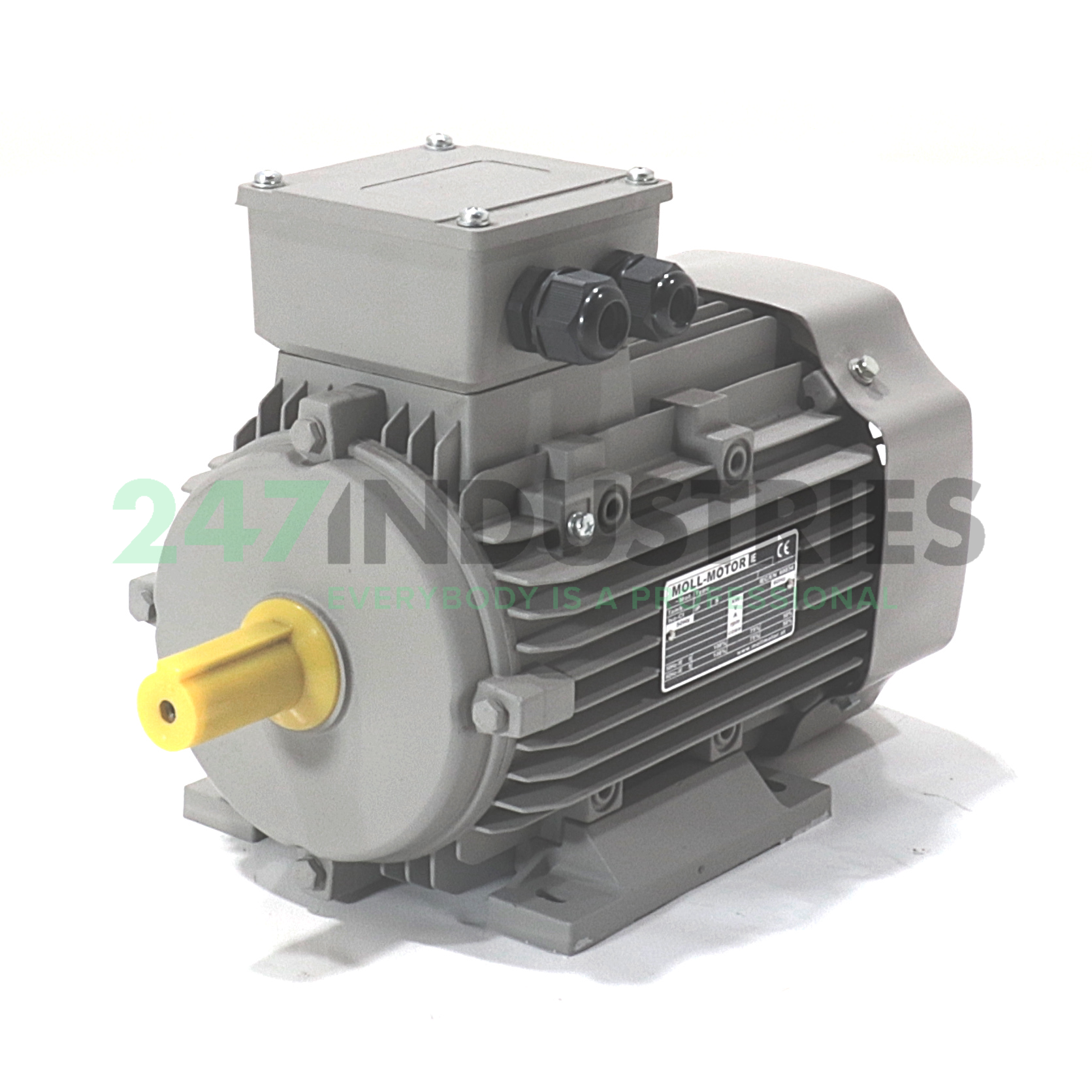 Y3HE2-90L4B3Z-DK Moll motors Image 1