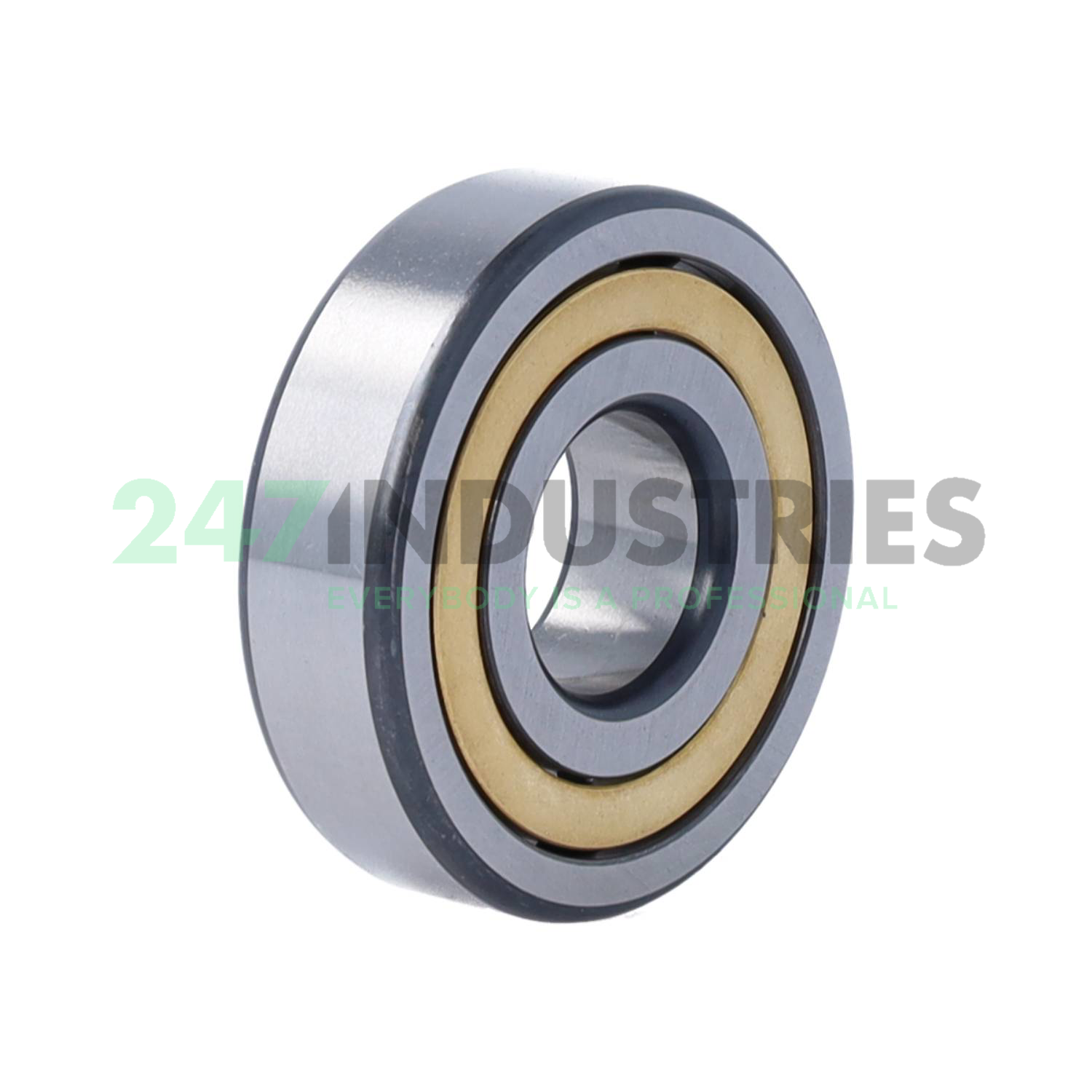 NJ304-E-XL-M1 FAG Image 2