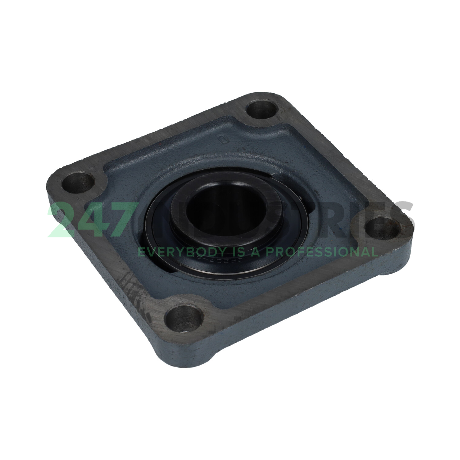 GRF207-20 Peer Image 2