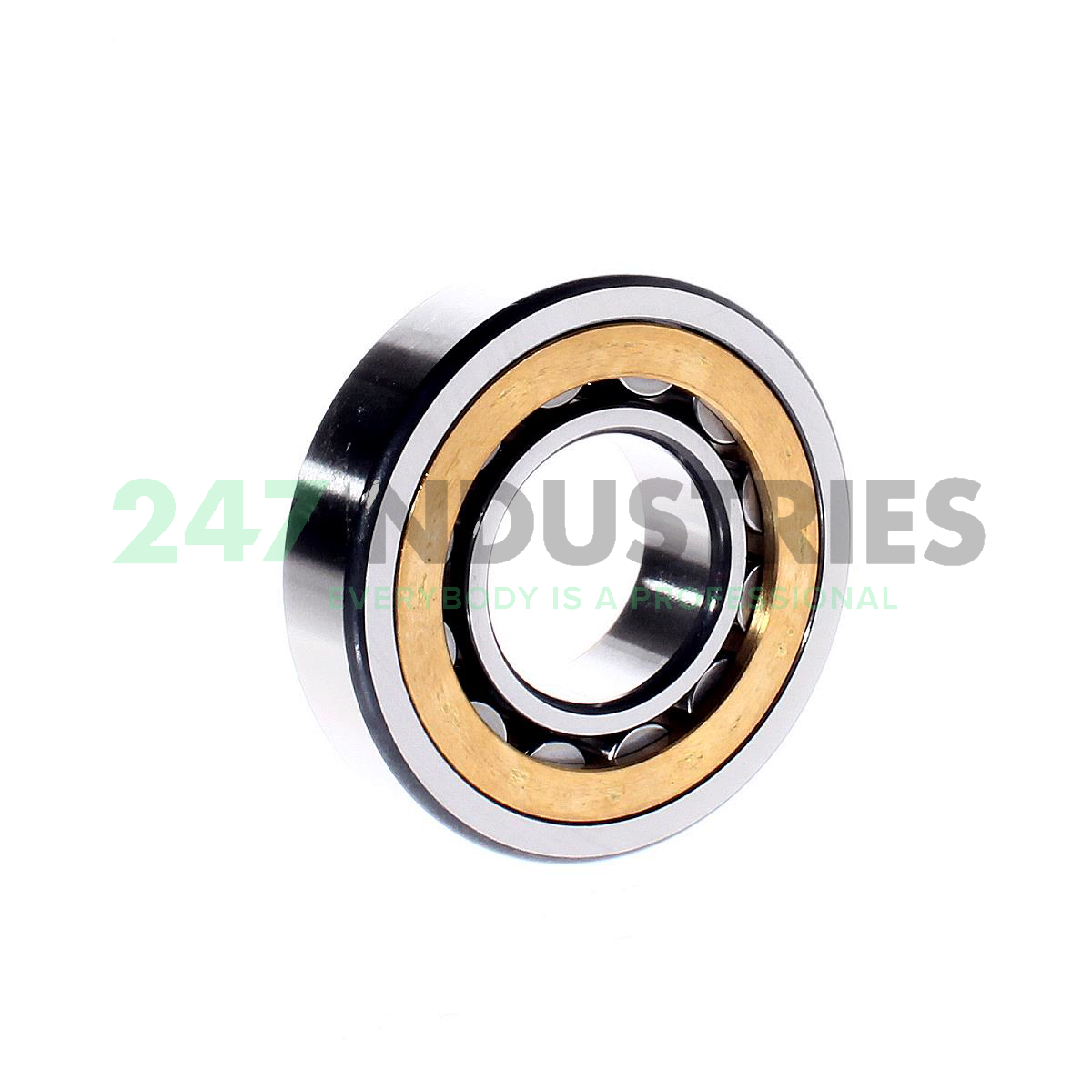 NU308-E-XL-M1A-C3 FAG Image 3