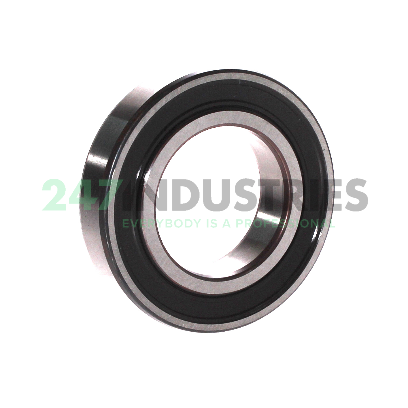 6210-2RS1 SKF Image 2