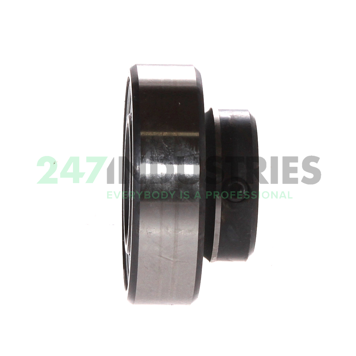 AY25-NPP INA Image 2