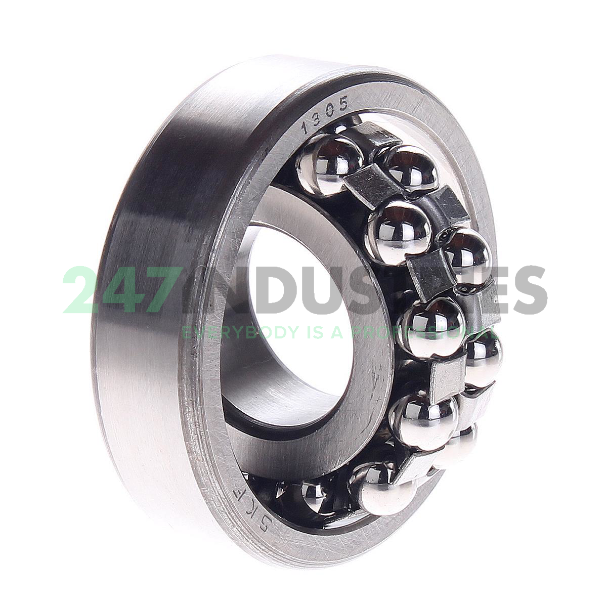 1305 SKF Image 2