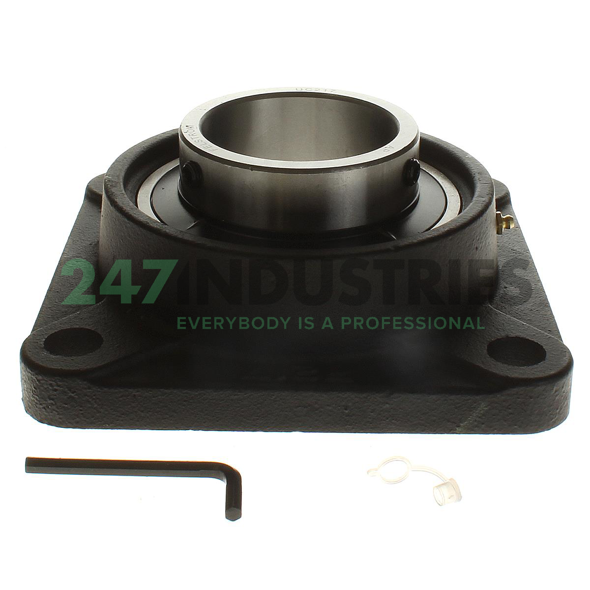 UCF217 Felstrom Image 2