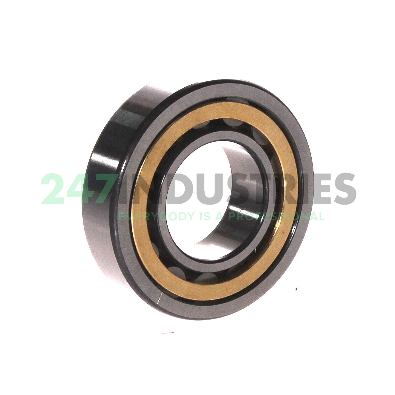 NU206-E-XL-M1 FAG Image 2