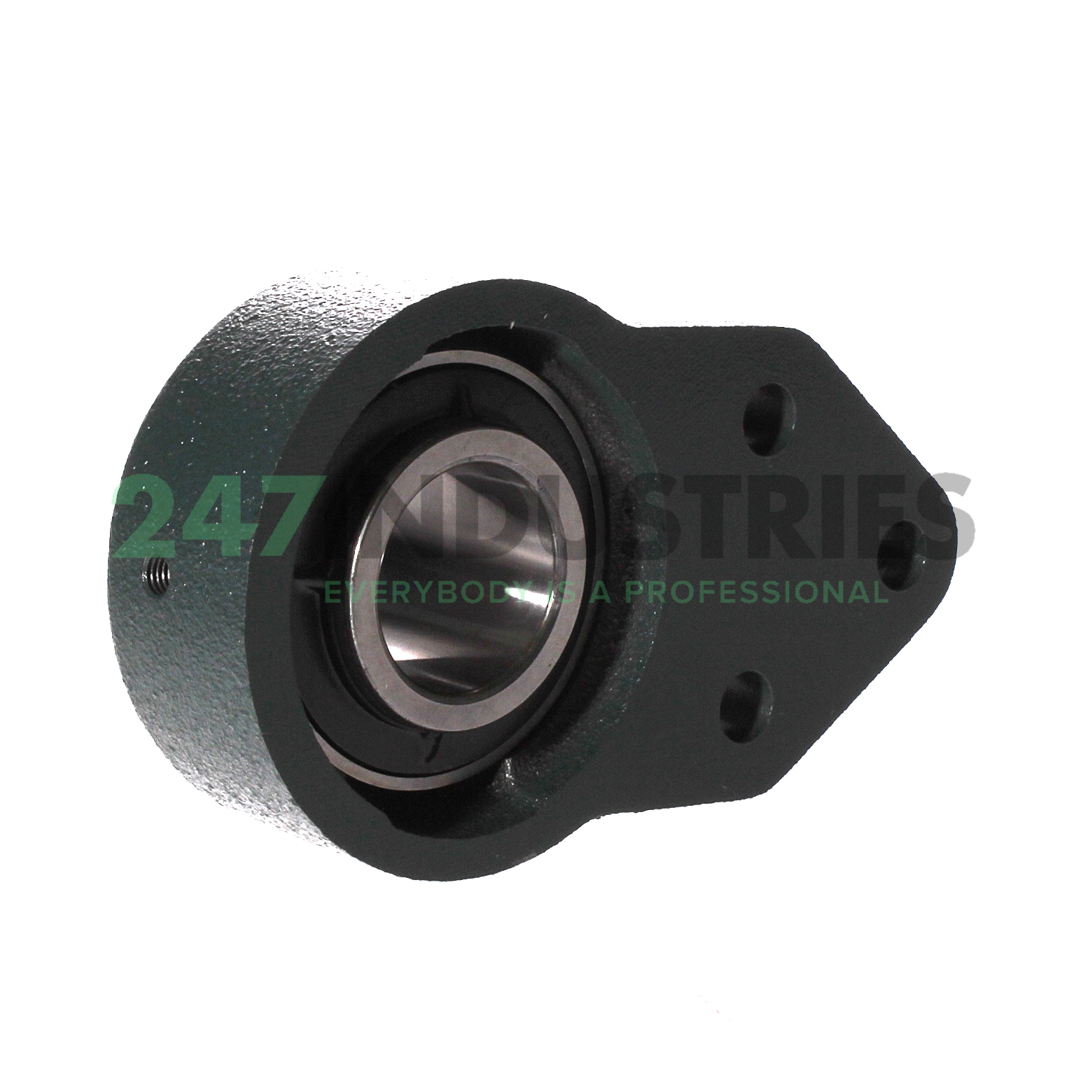 UCFH206D1 NSK Image 2