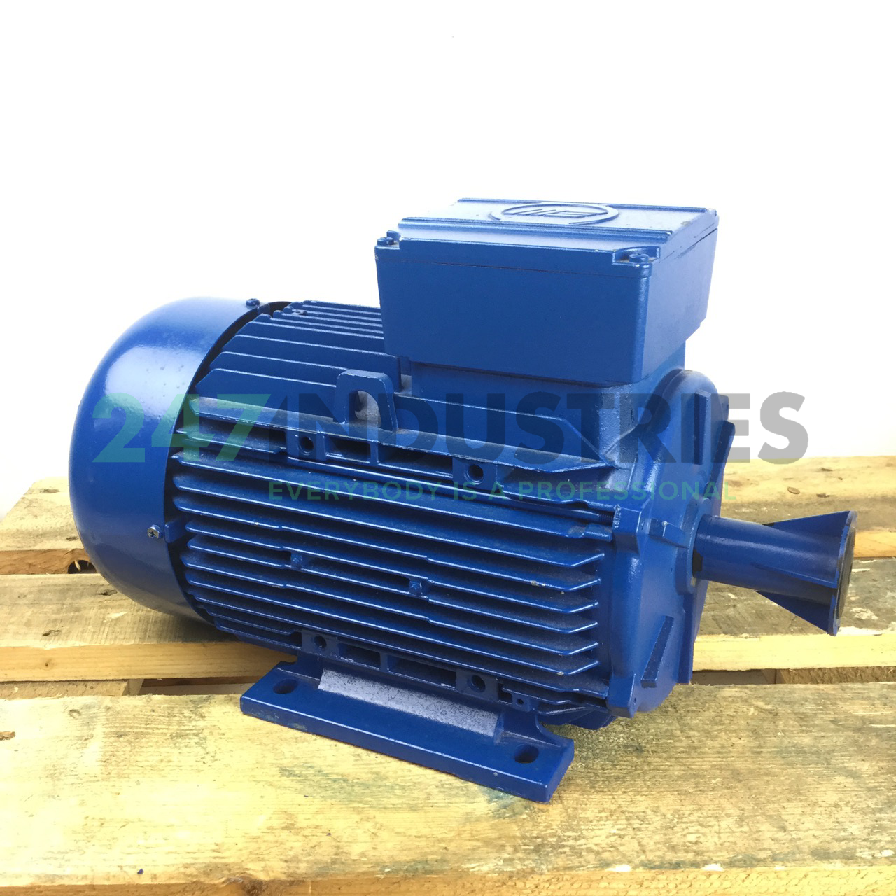 A4C1071A00016 Marelli Motori Image 3