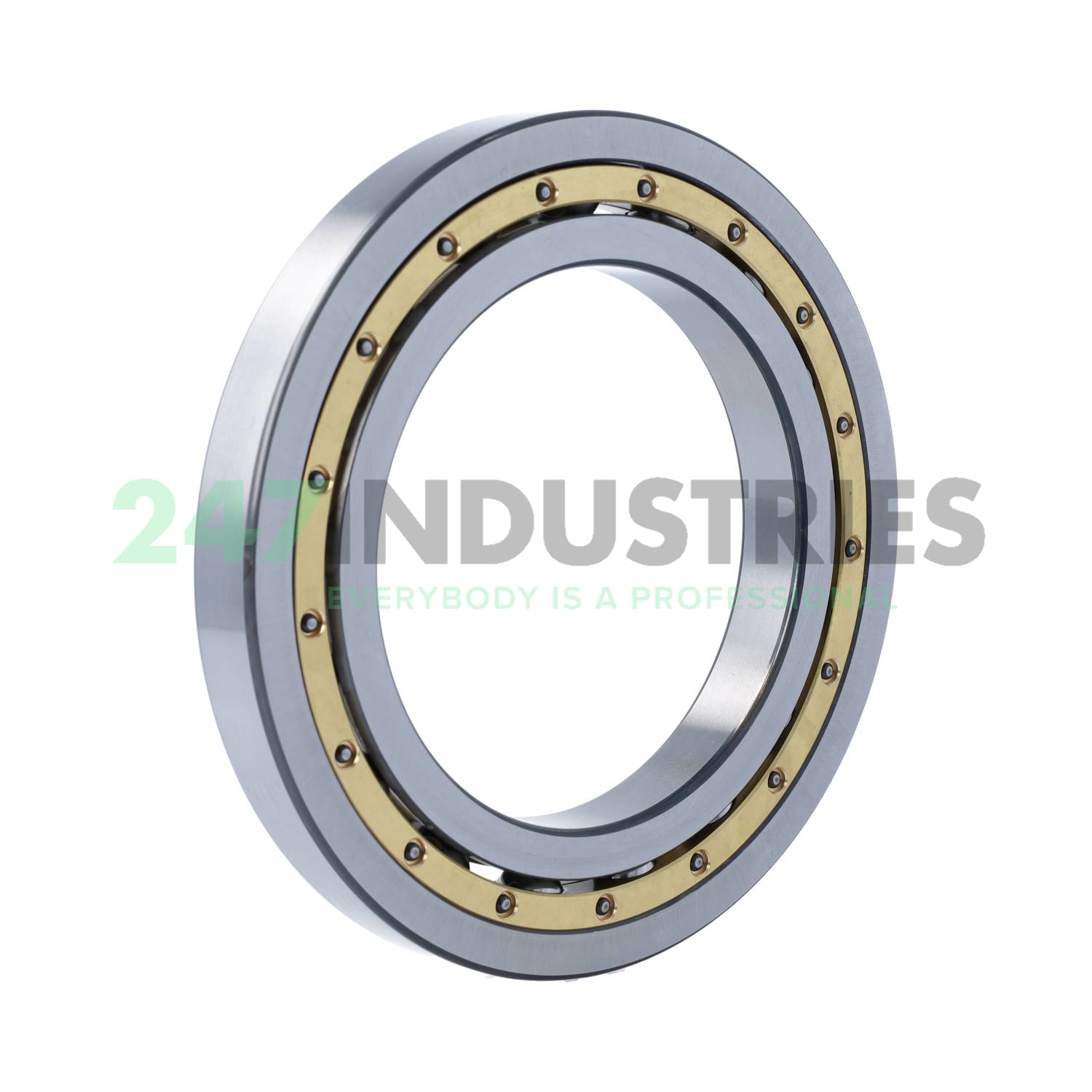 16022-MA-C3 FAG Image 2