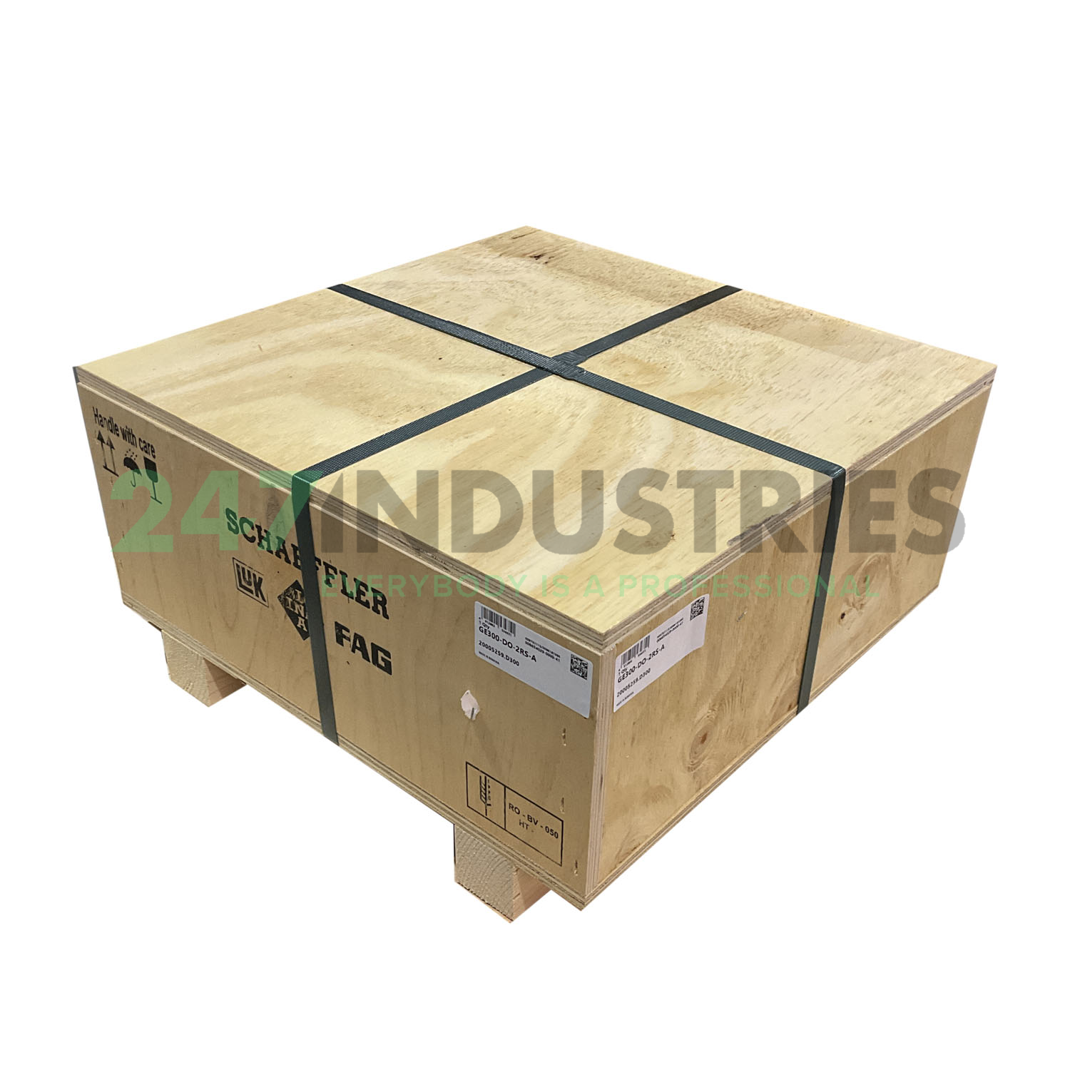 GE300-DO-2RS-A INA Image 2