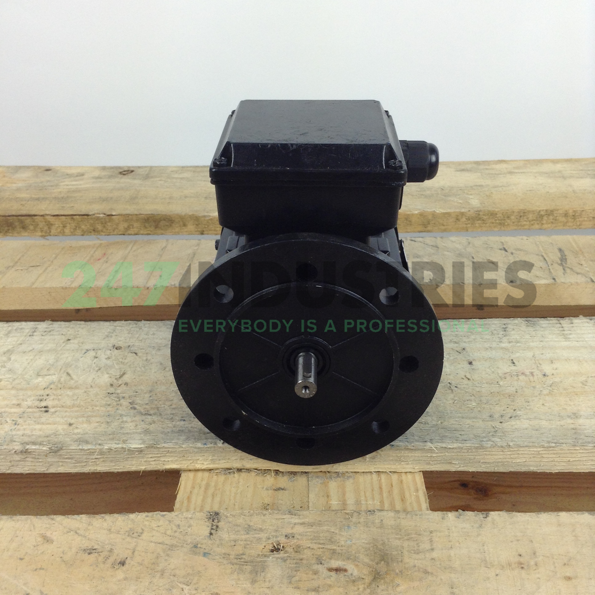 MS6322B35 Gibbons Image 4