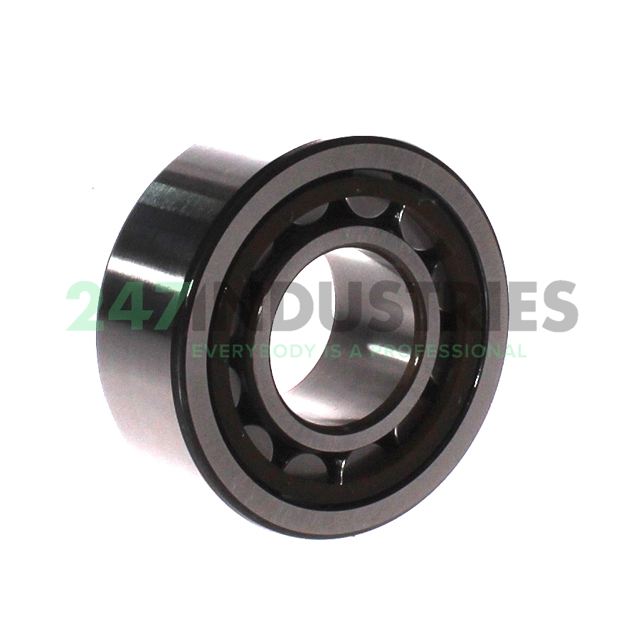 NJ2307ECP/C3 SKF Image 2