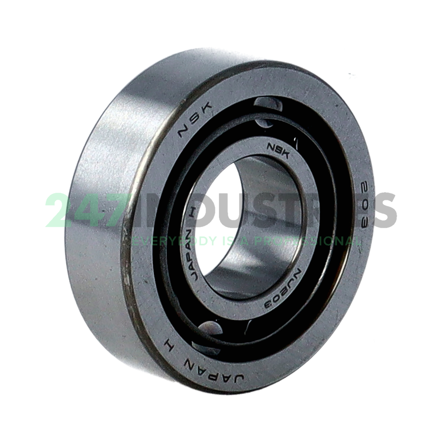 NJ203W NSK Image 1