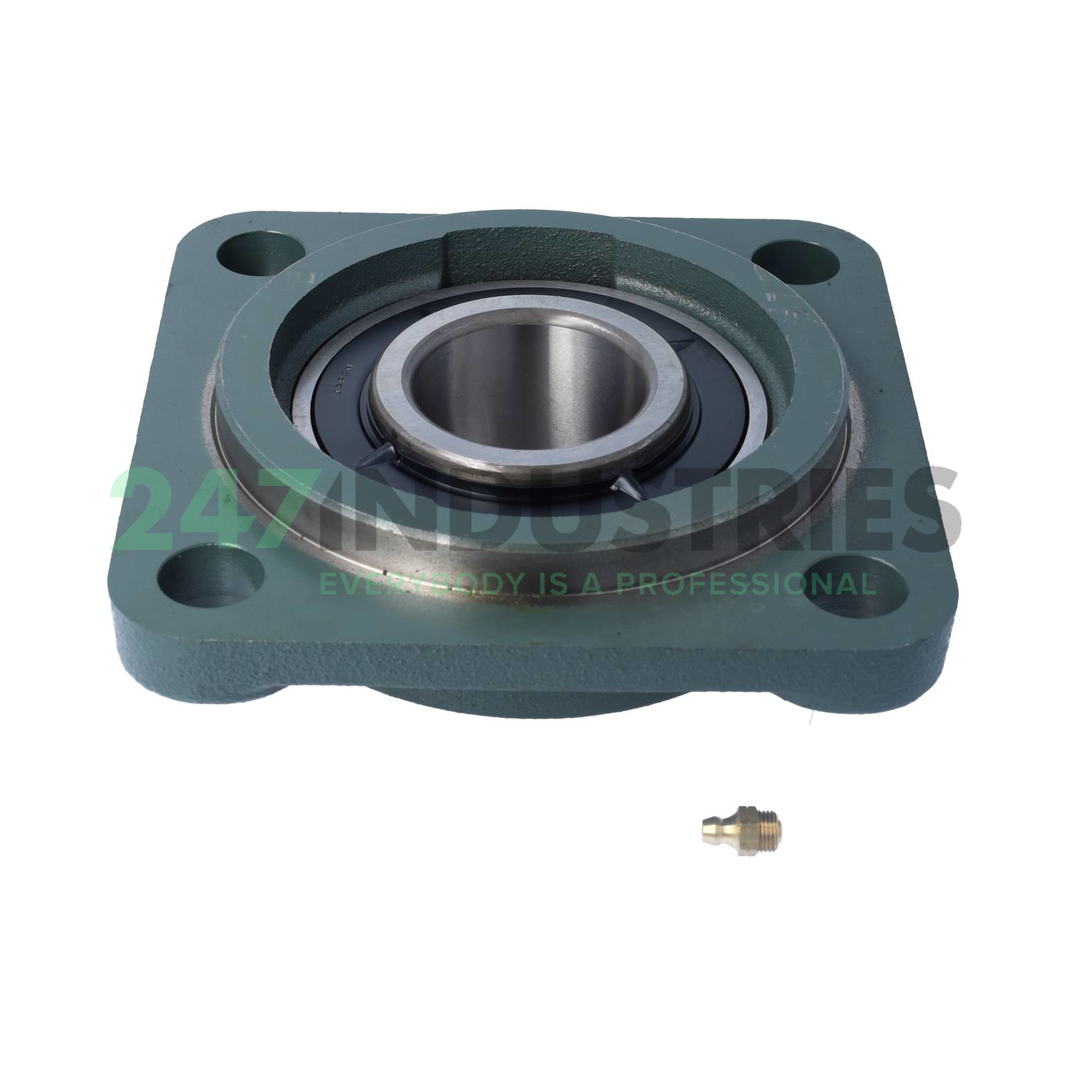 UCFS311D1 NSK Image 2