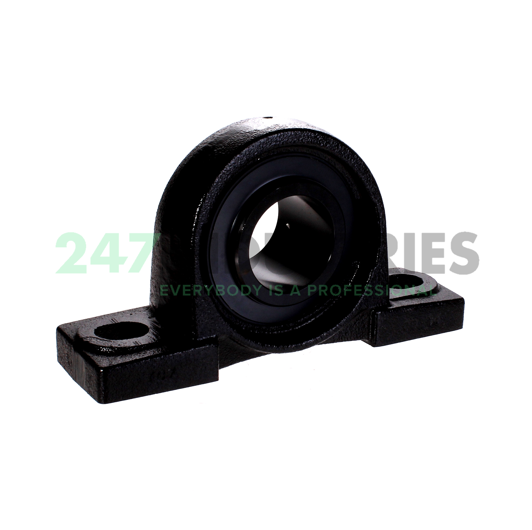 UCP210-30-J7 FAG Image 2