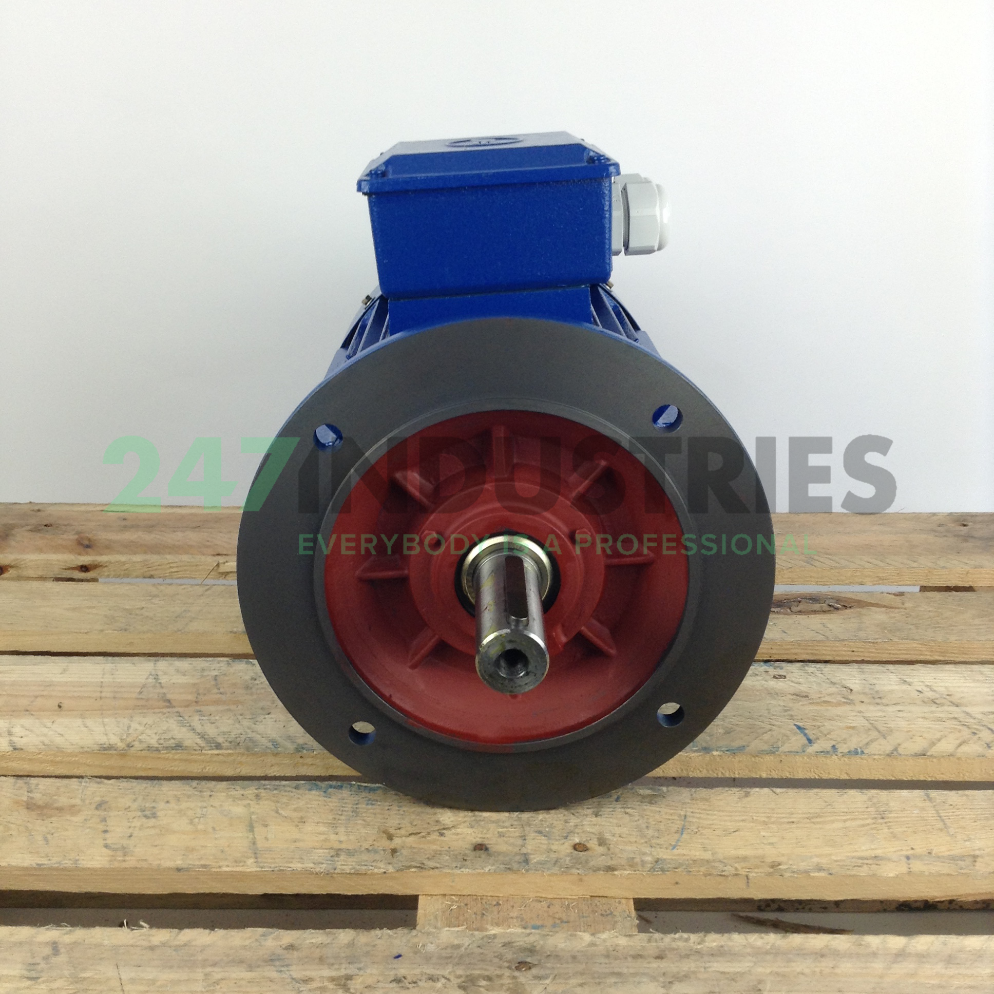 BAQ160M6-B5 Marelli Motori Image 4