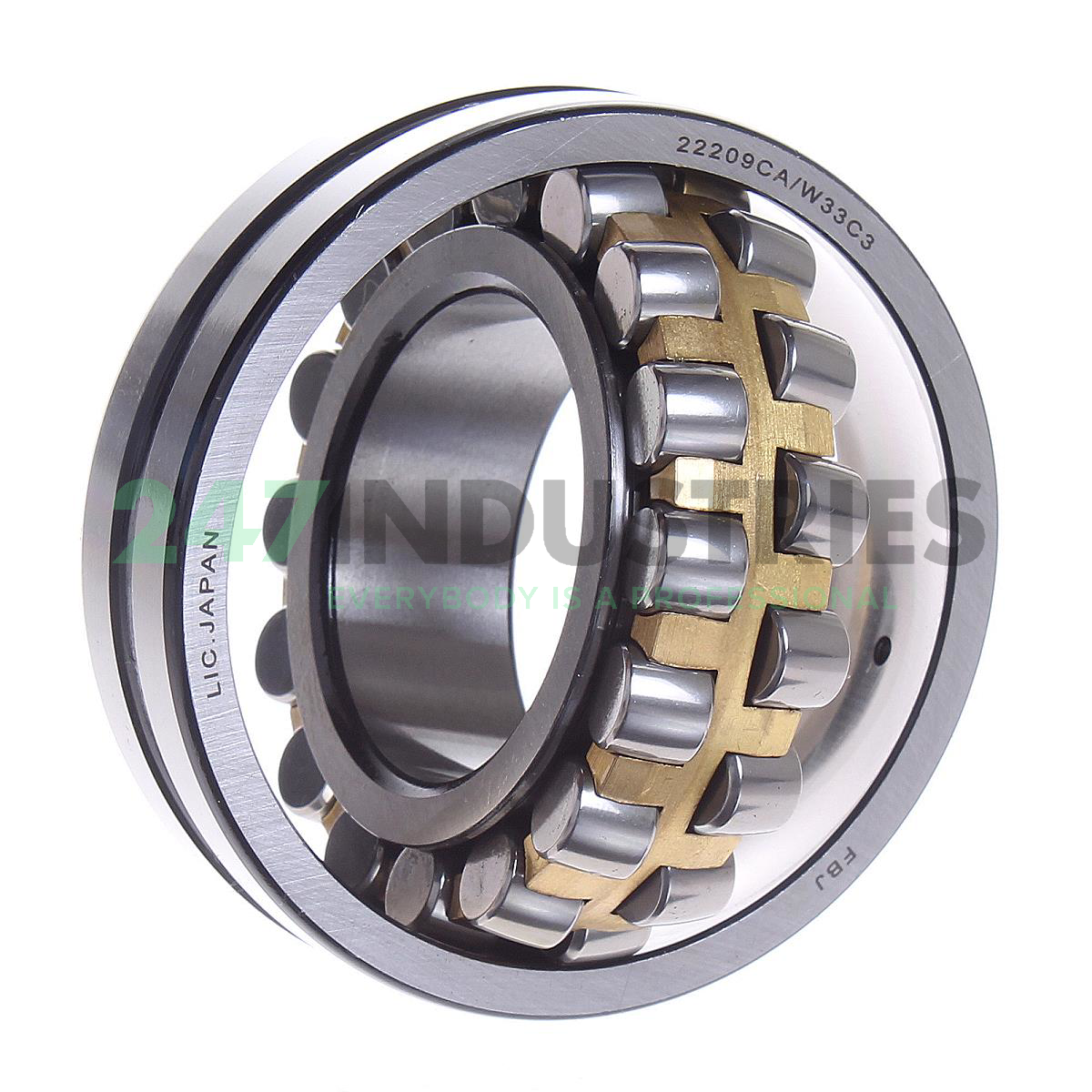 22209CA/W33 C3 FBJ Image 3