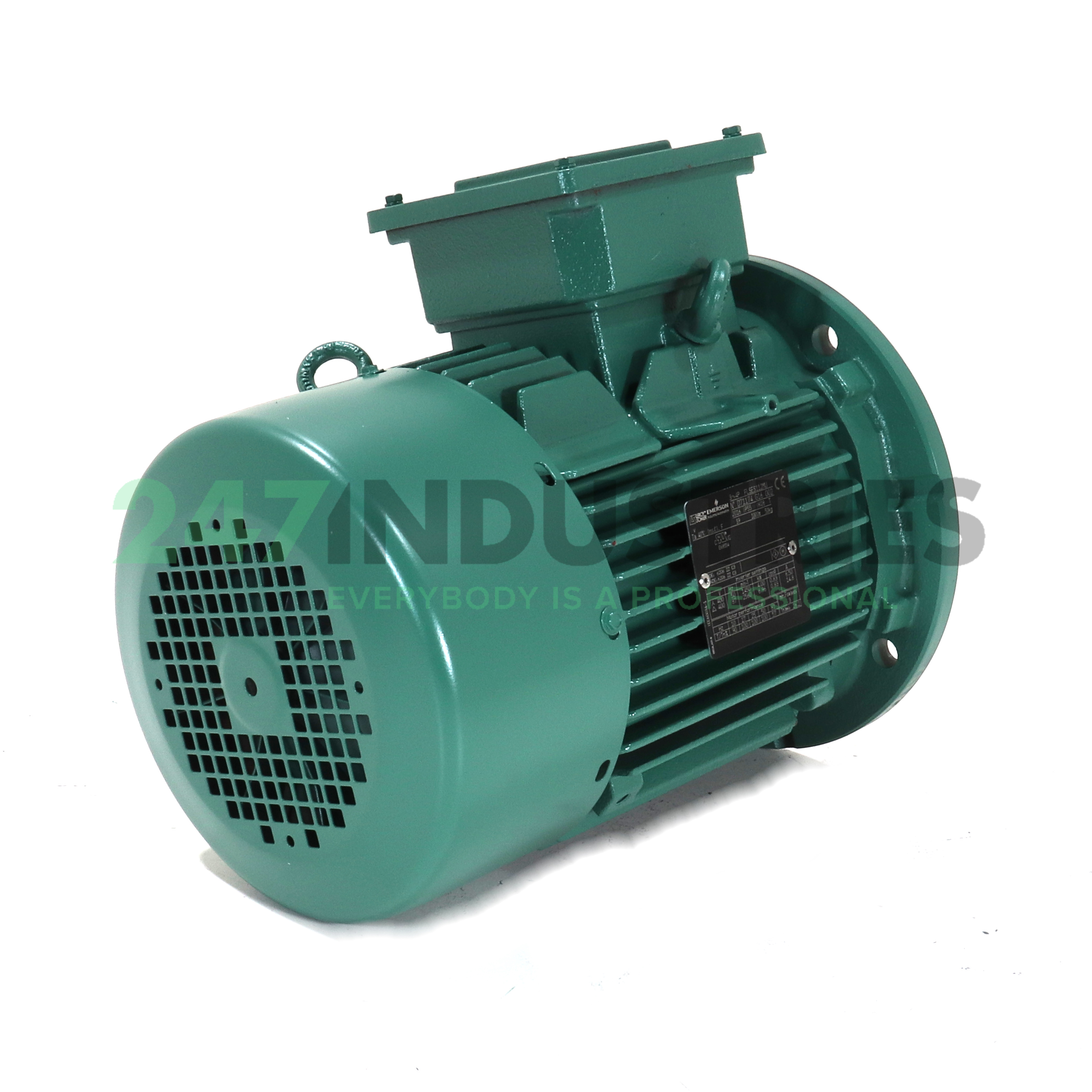 FLSES112MU-B5 Leroy Somer Image 3