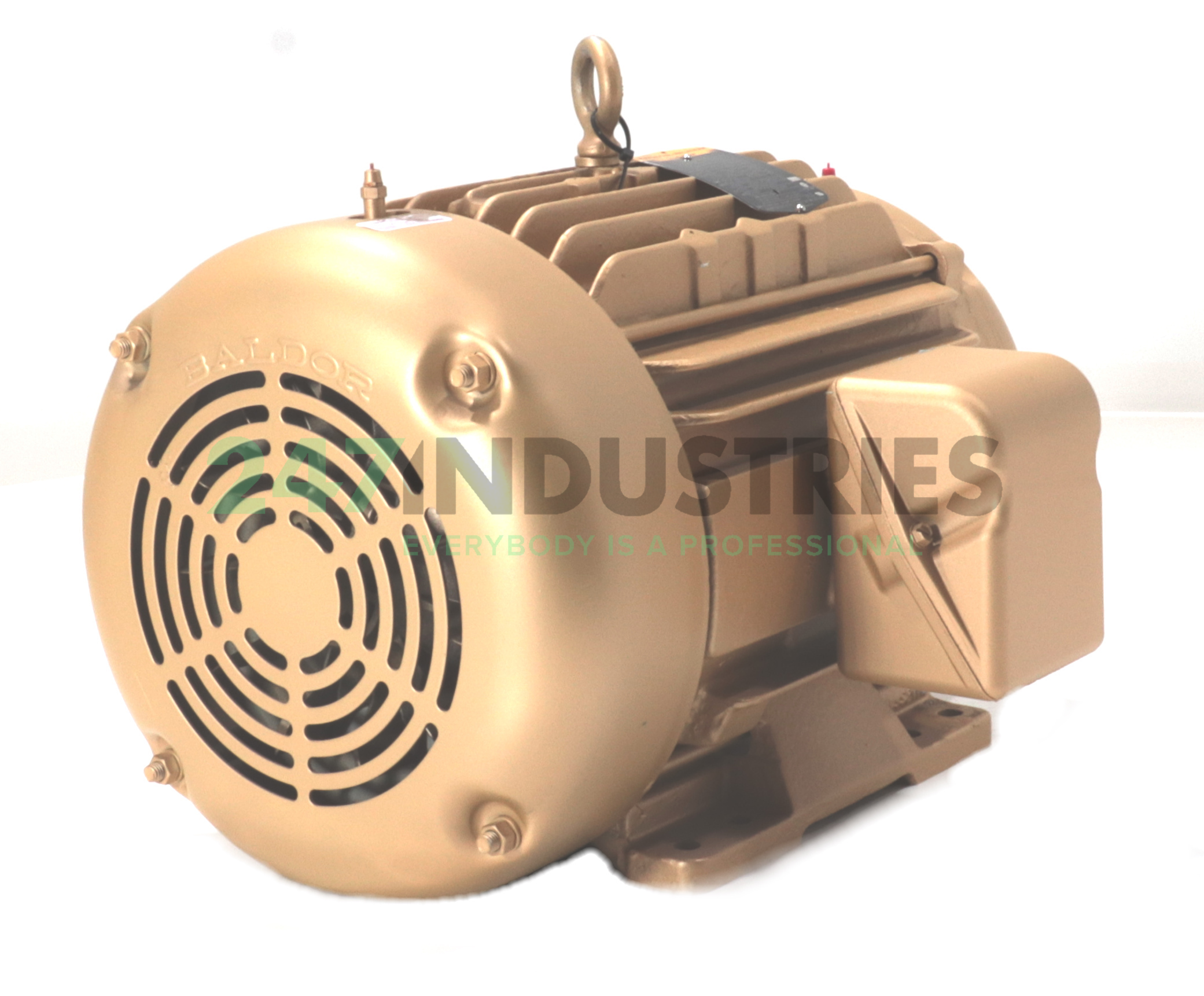 CEM2334T Baldor Image 3