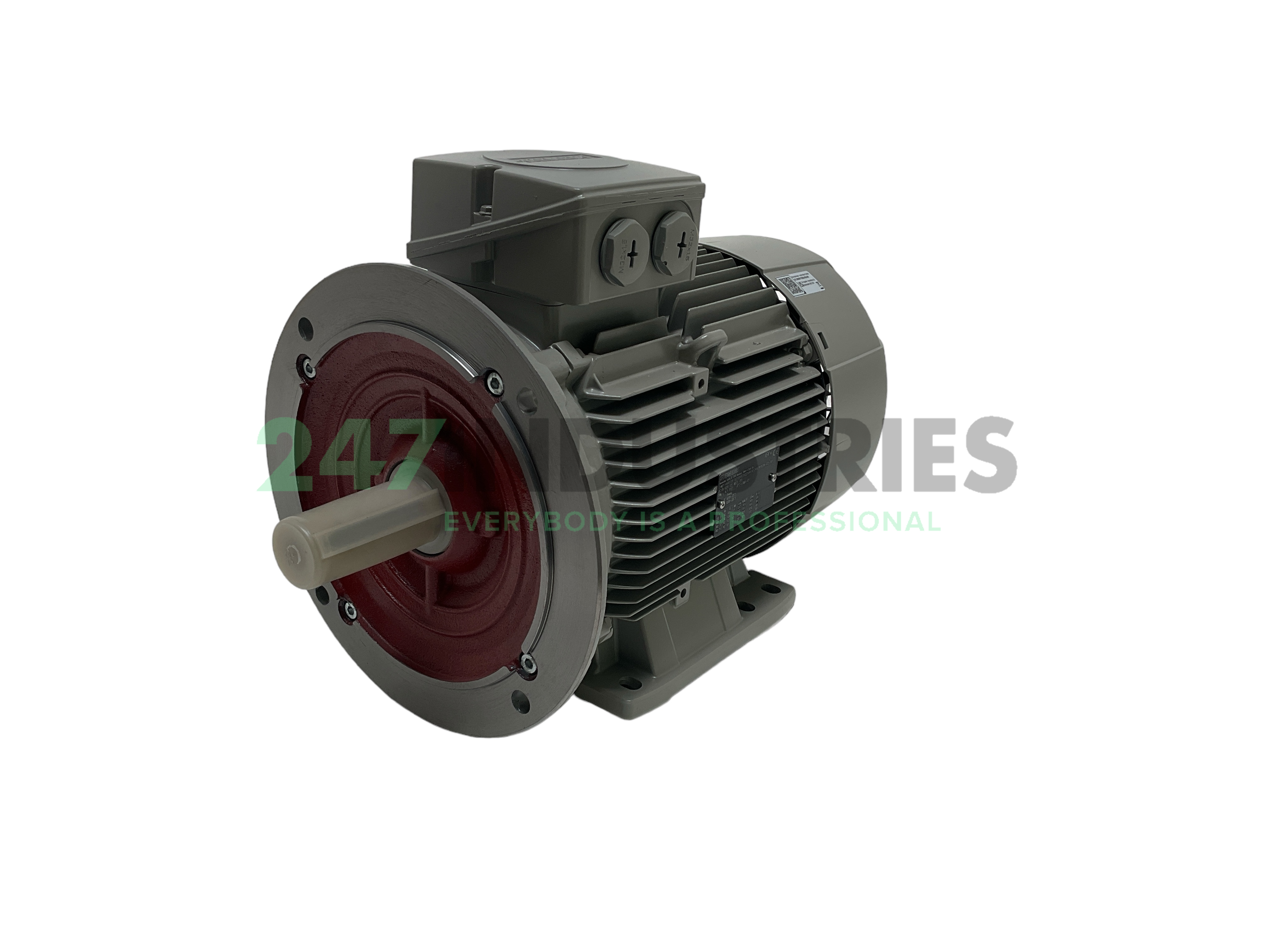 1LE1004-1CB02-2JA4 Siemens