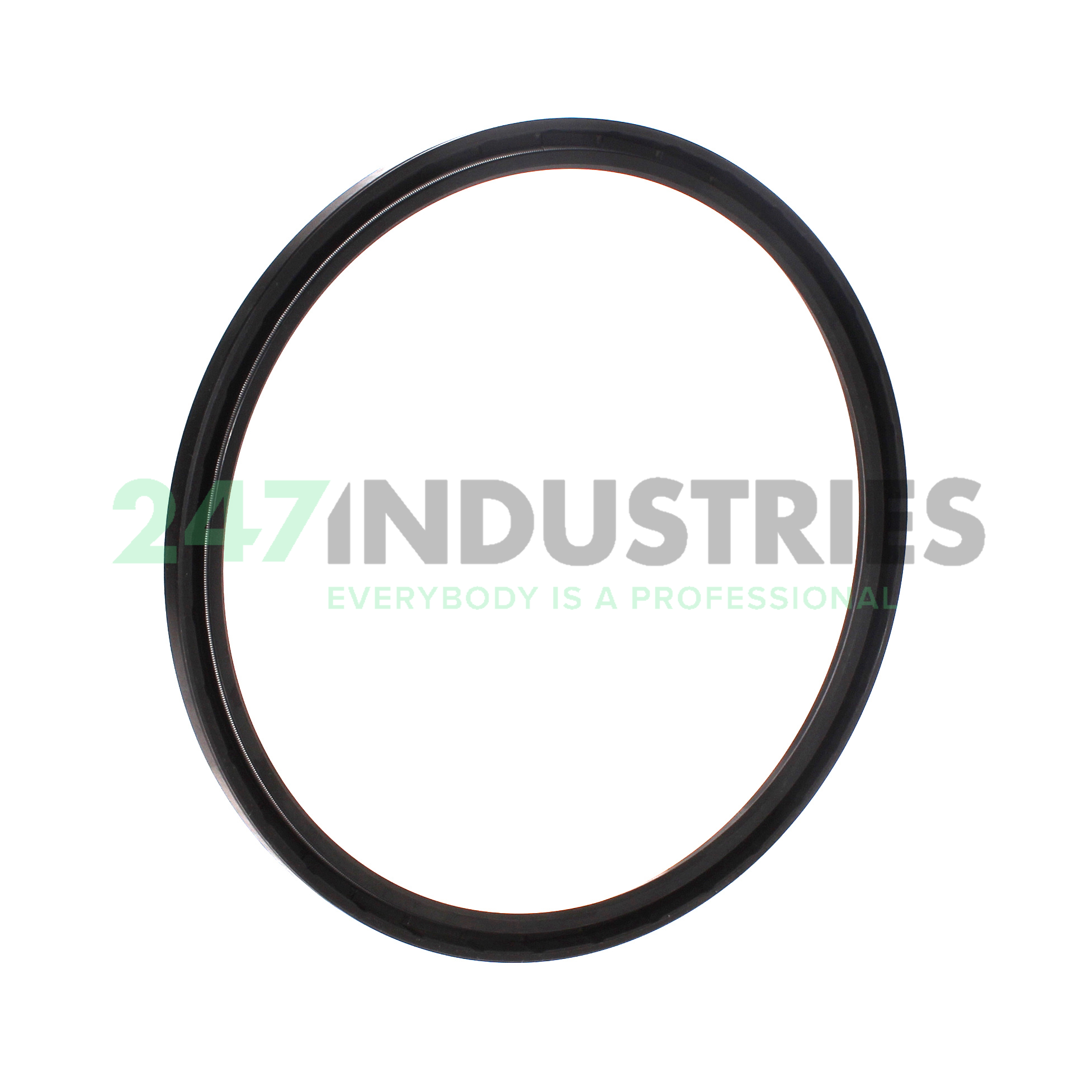 SC180X200X10 NAK Sealing Technologies Image 2