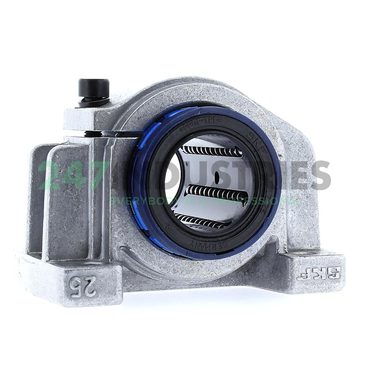 LUCE25-2LS SKF Image 1
