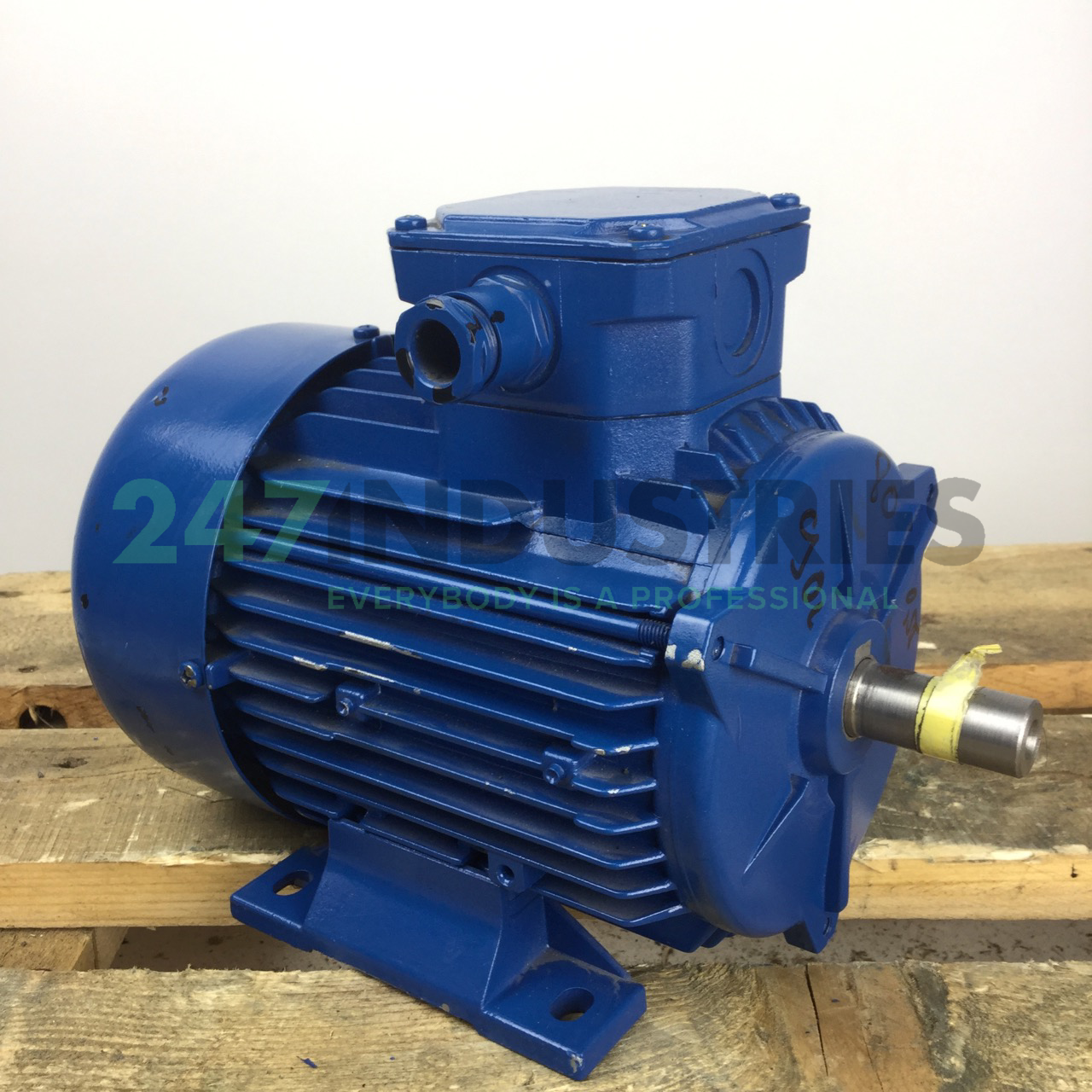 A4C0813A00017 Marelli Motori Image 3