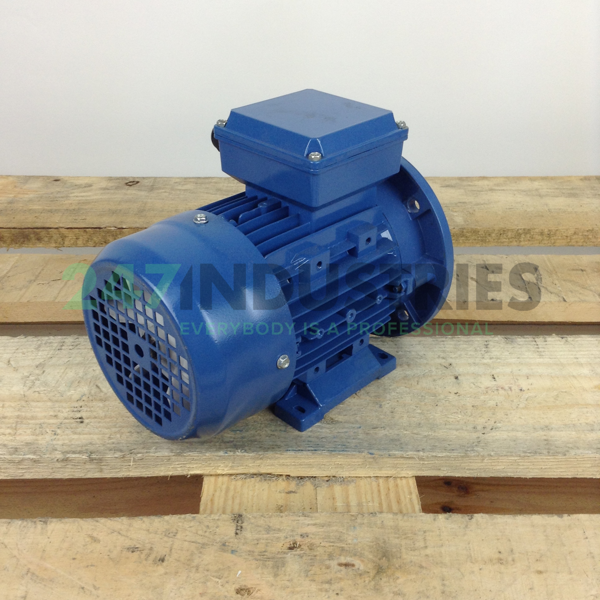 MS7112B35 Gibbons Image 3