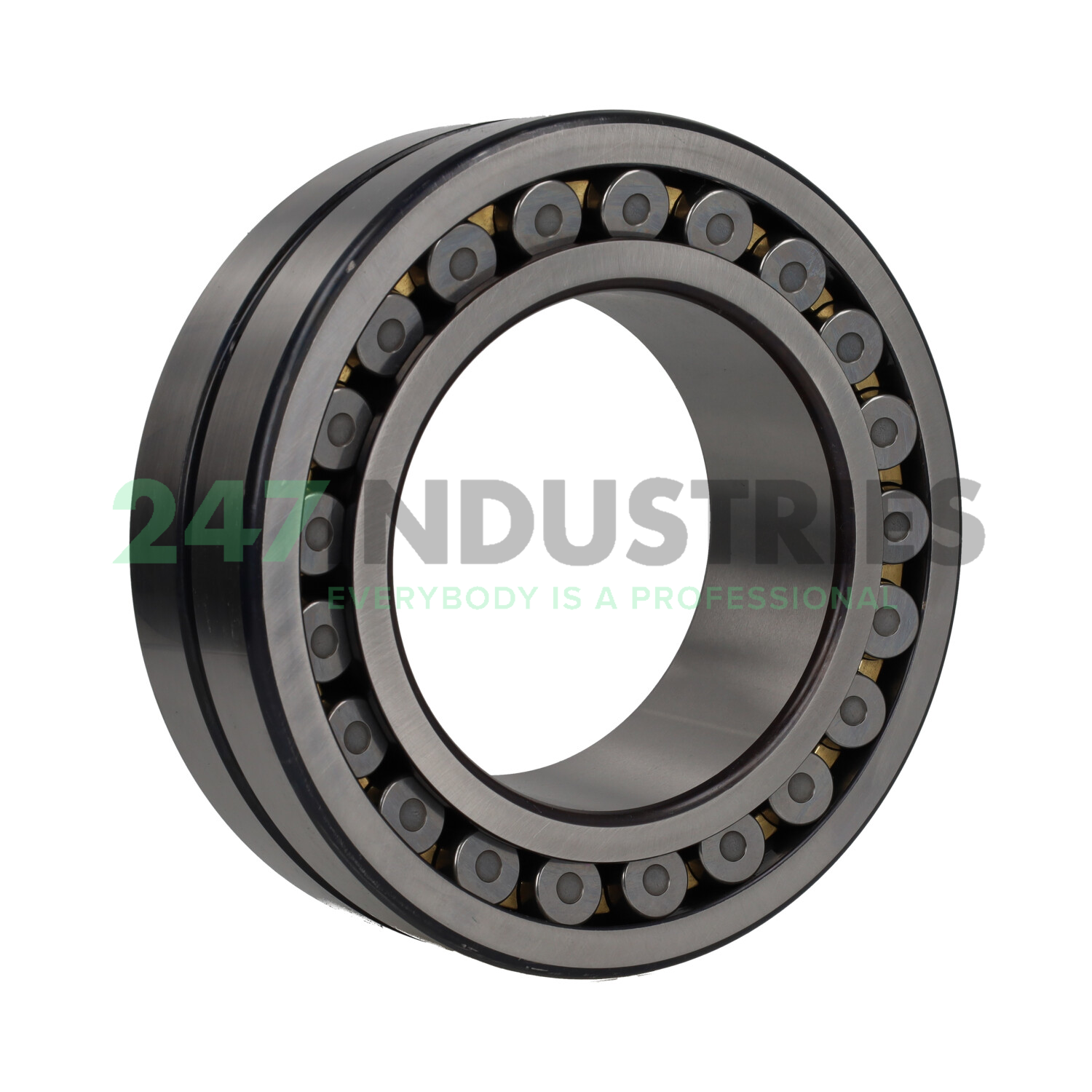 23124CAME4S11 NSK Image 2