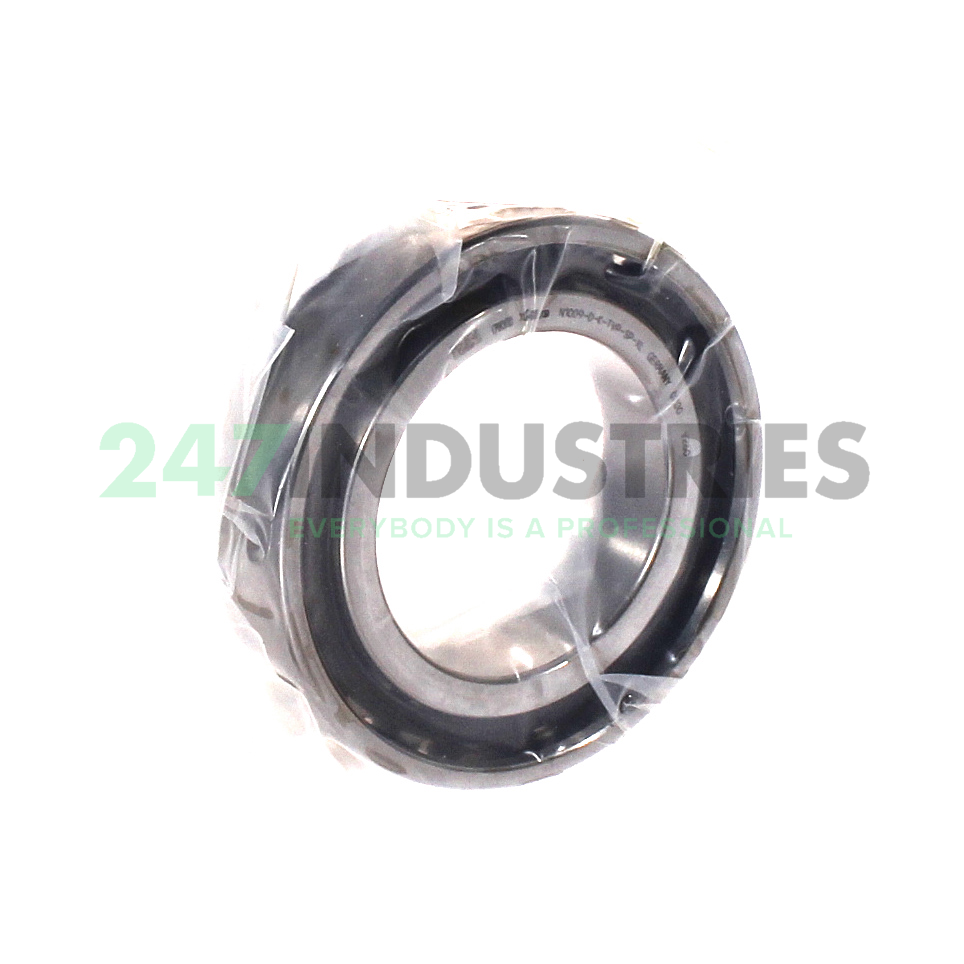 N1009-D-K-TVP-SP-XL FAG