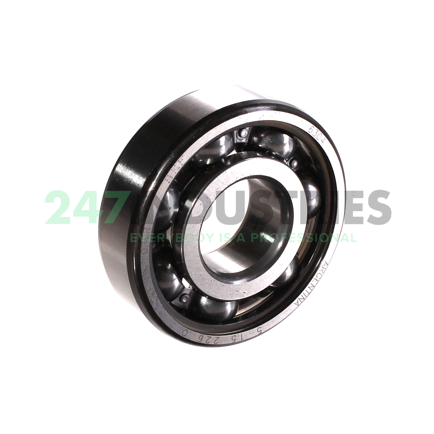 6304 SKF