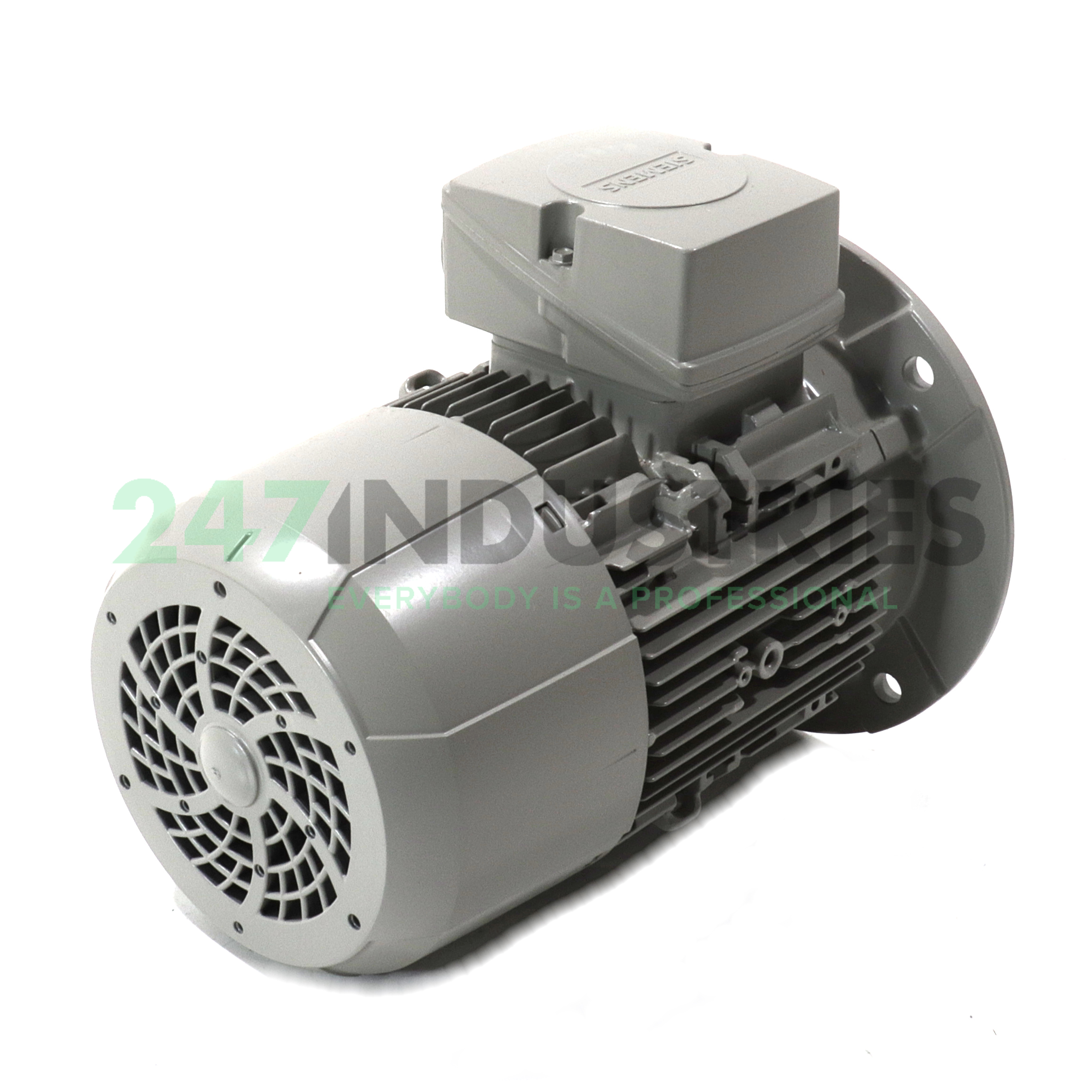 1LE1001-1AB42-2FA4 Siemens Image 3