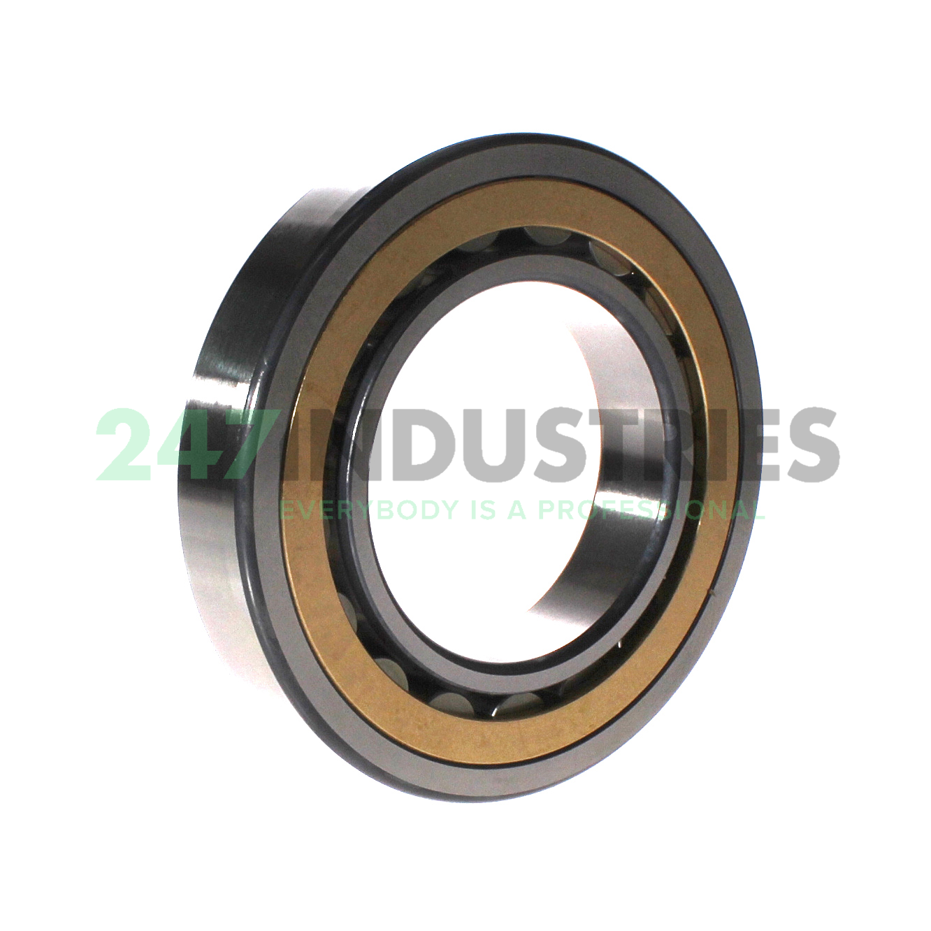 NU218-E-XL-M1A-C3 FAG Image 2