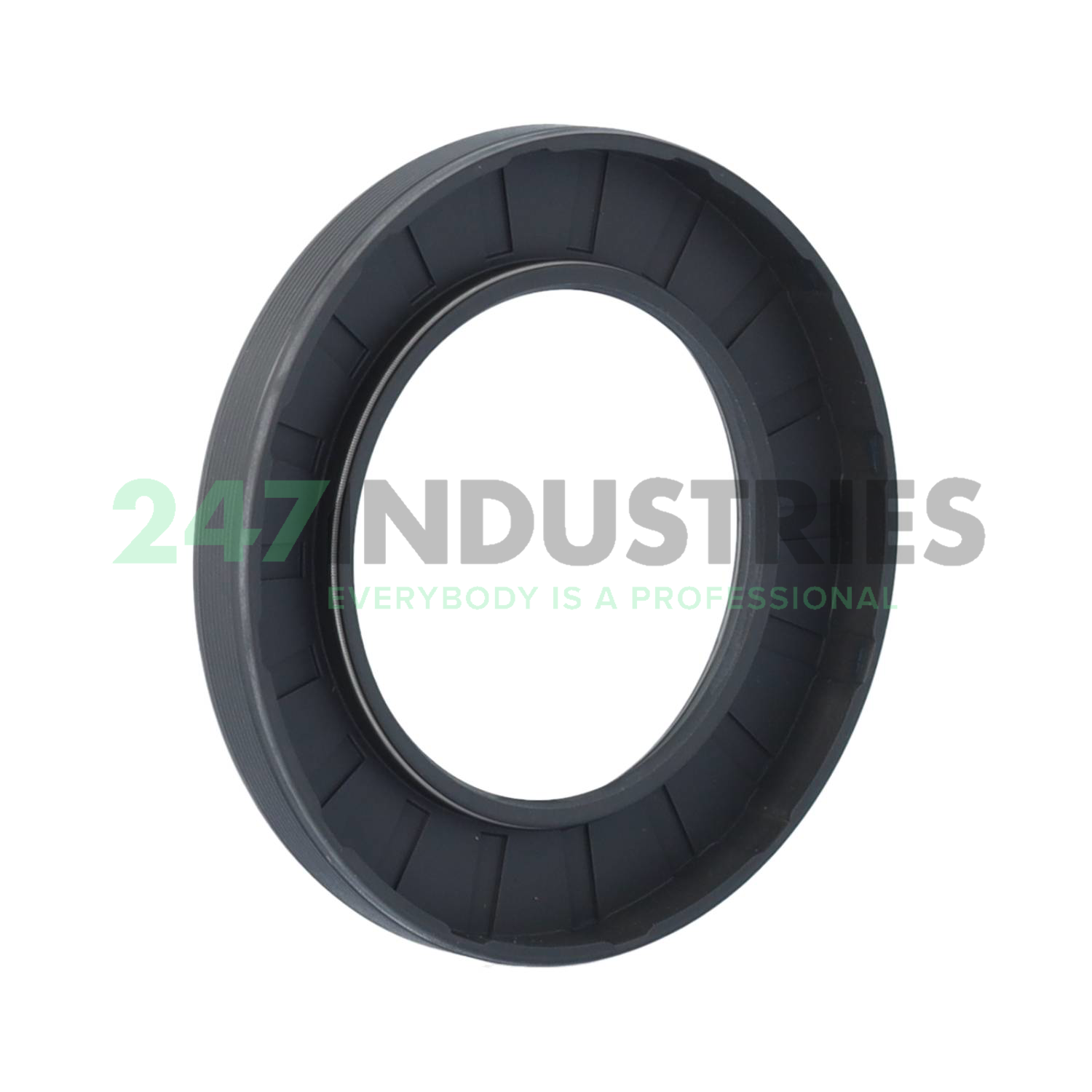 60X95X10HMS5RG SKF Image 2