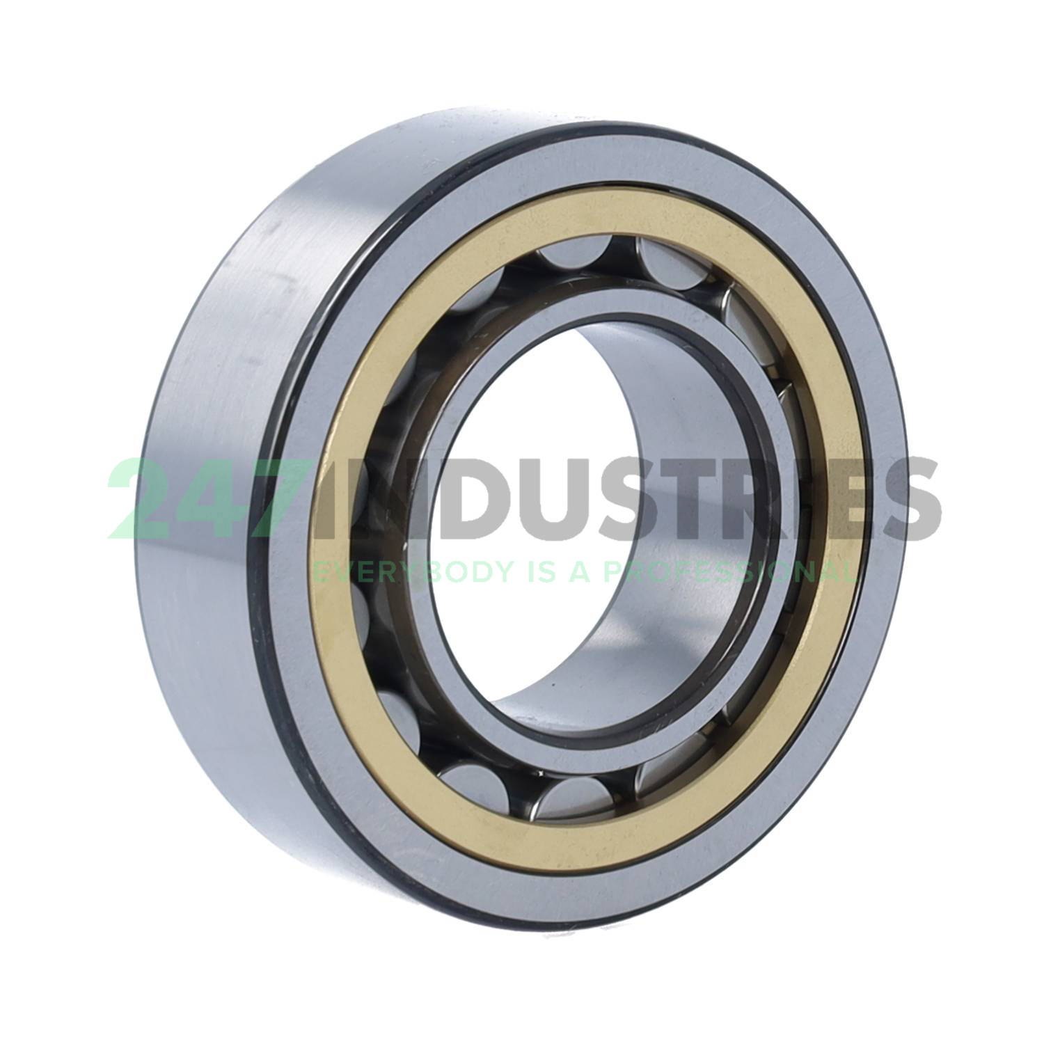 NU2208ECML SKF Image 2