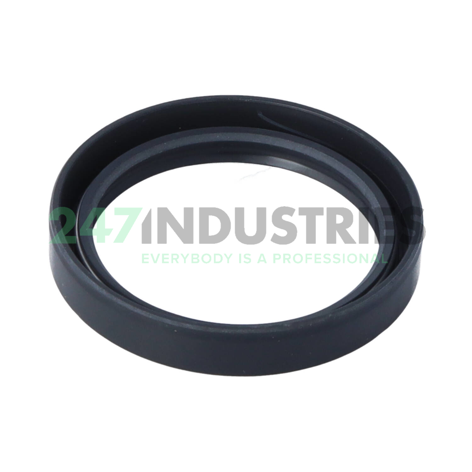 TC48X60X10 TTO Oil seals Image 2