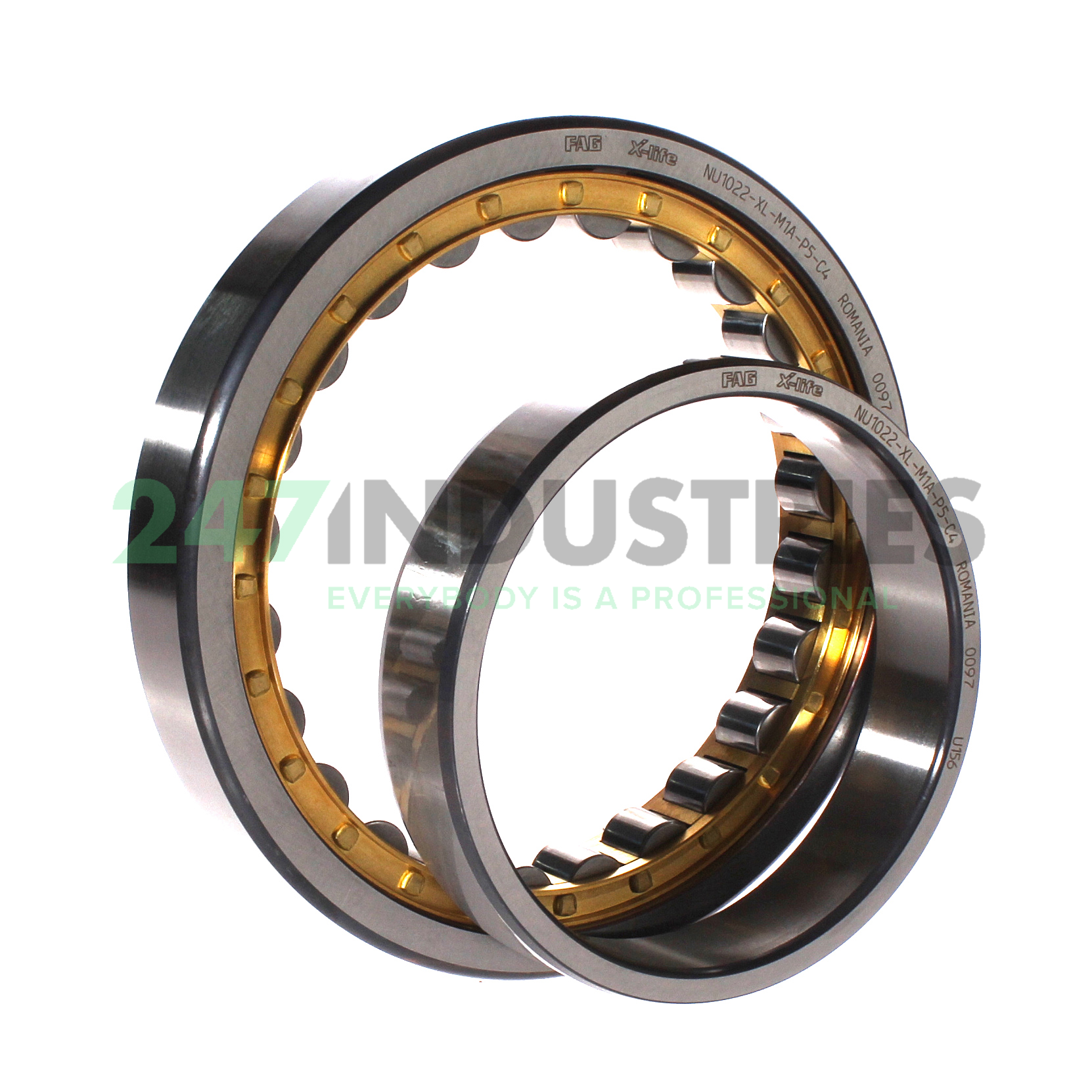 NU1022-XL-M1A-P5-C4 FAG Image 2