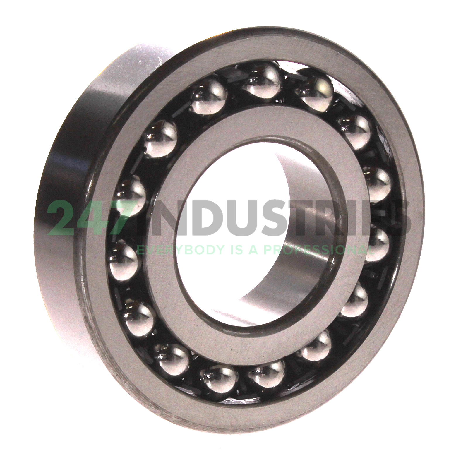 1309K NSK Image 2