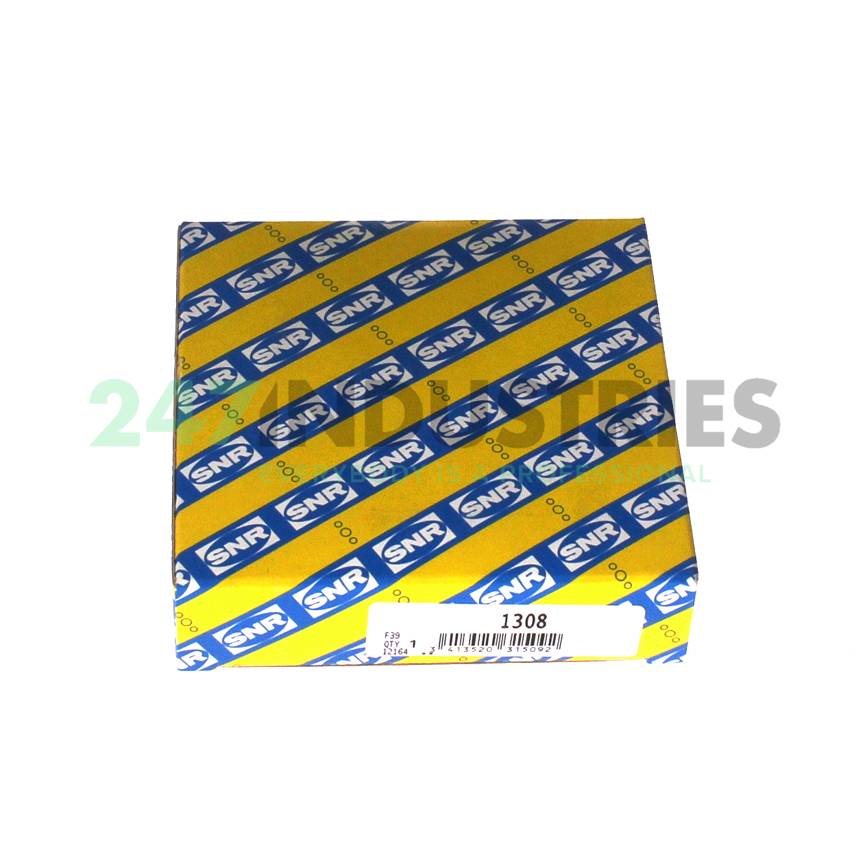 1308 SNR Image 3