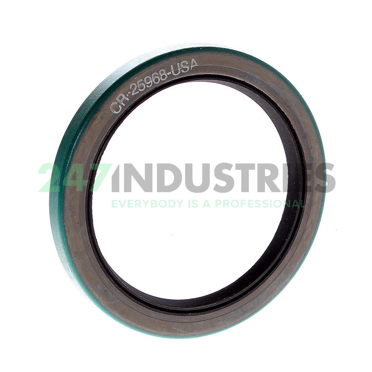 CR66X85X10CRWHA1R SKF Image 1