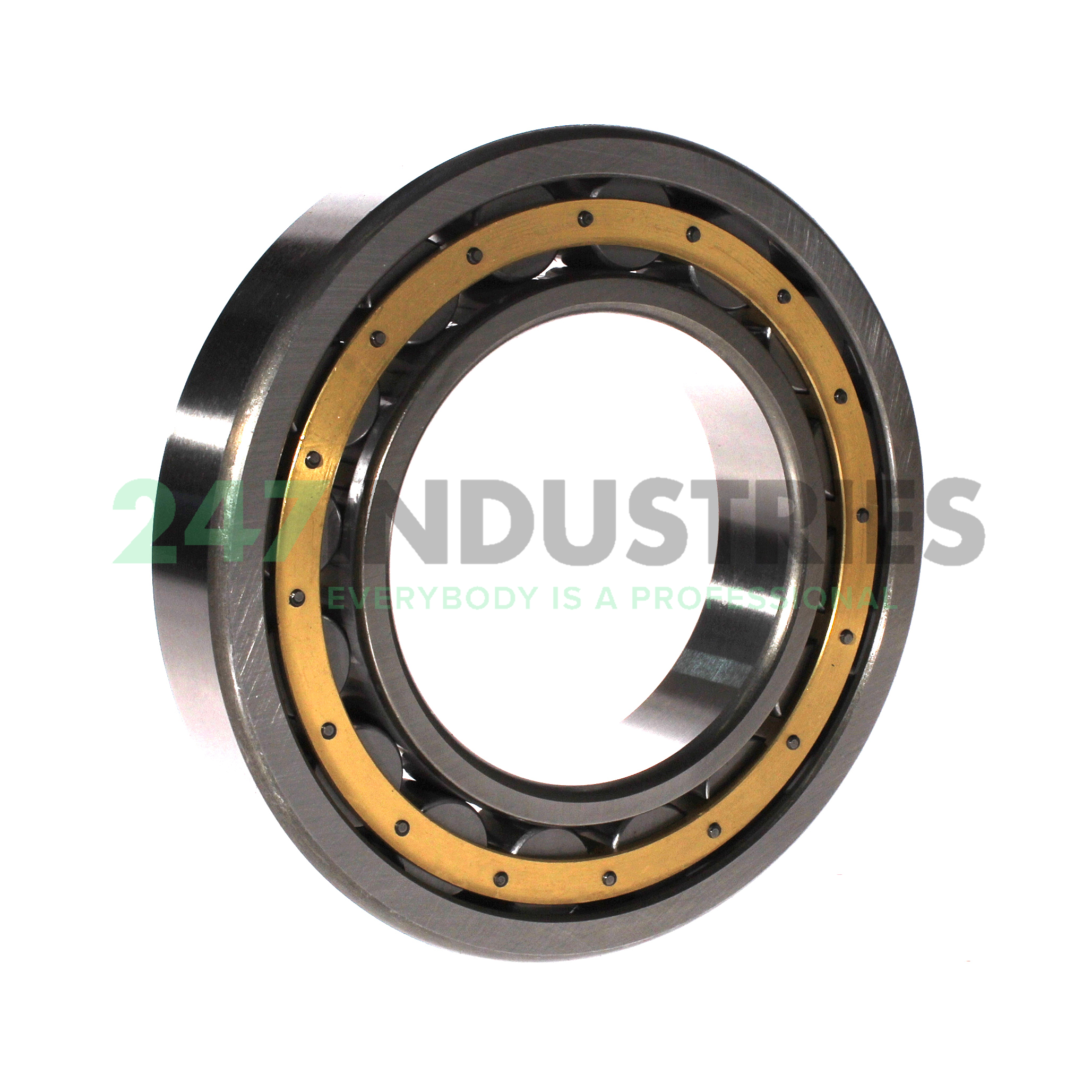 NU219EM C3 FBJ Image 2