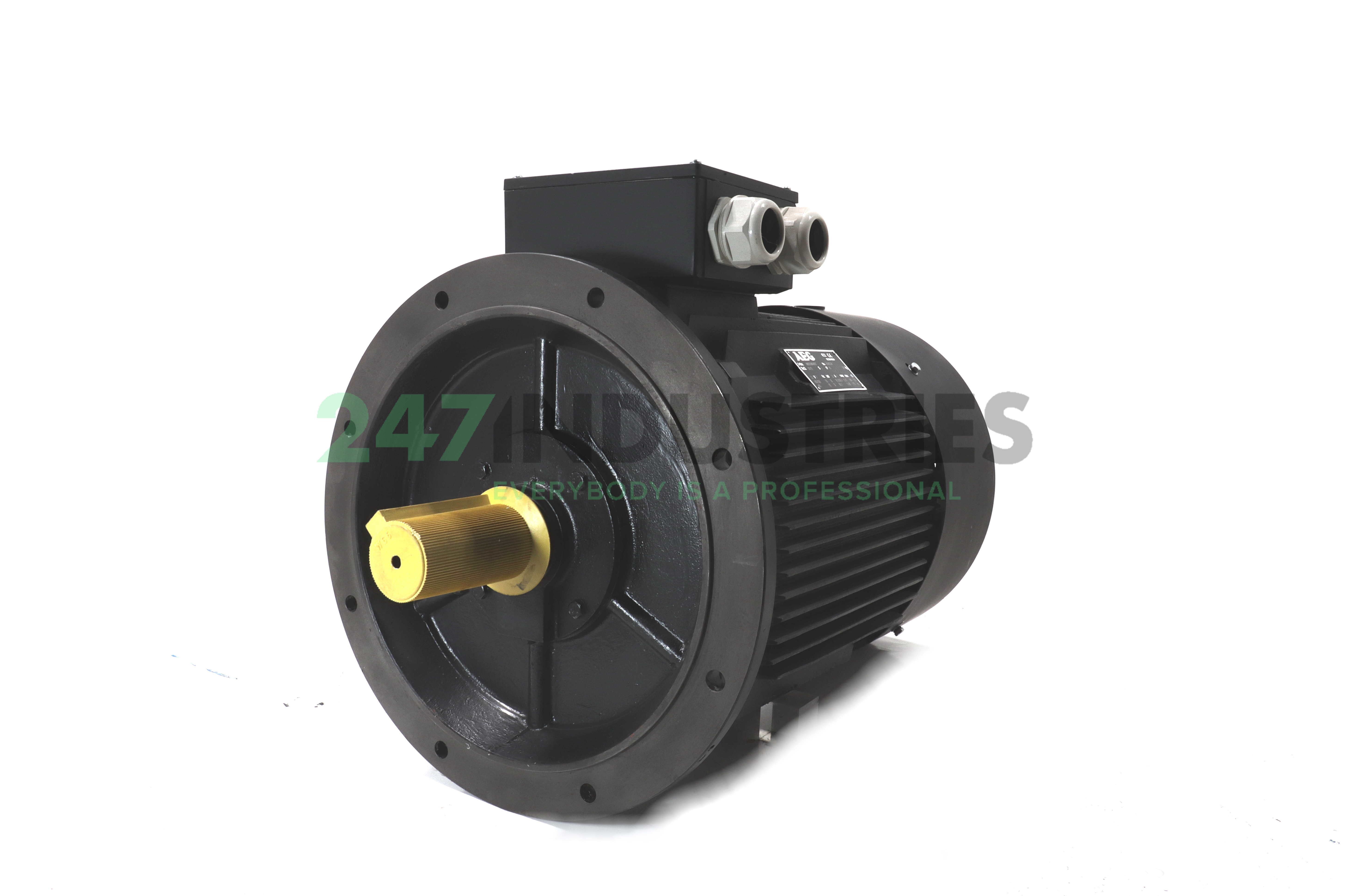 AMN250MN4B5T AEG