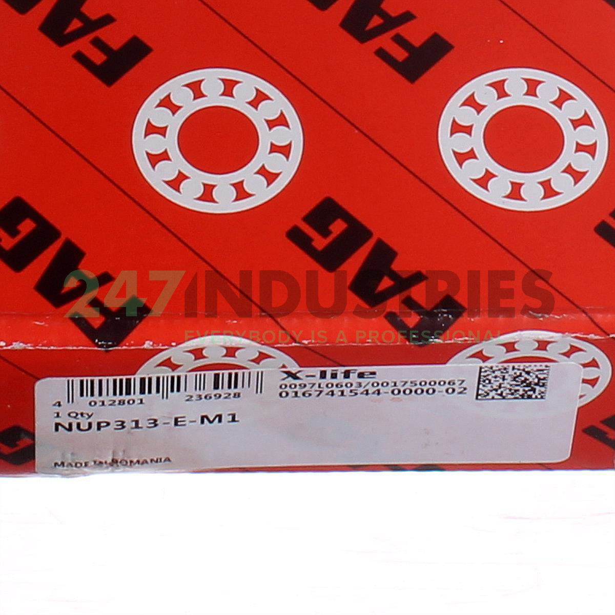 NUP313-E-M1 FAG Image 6